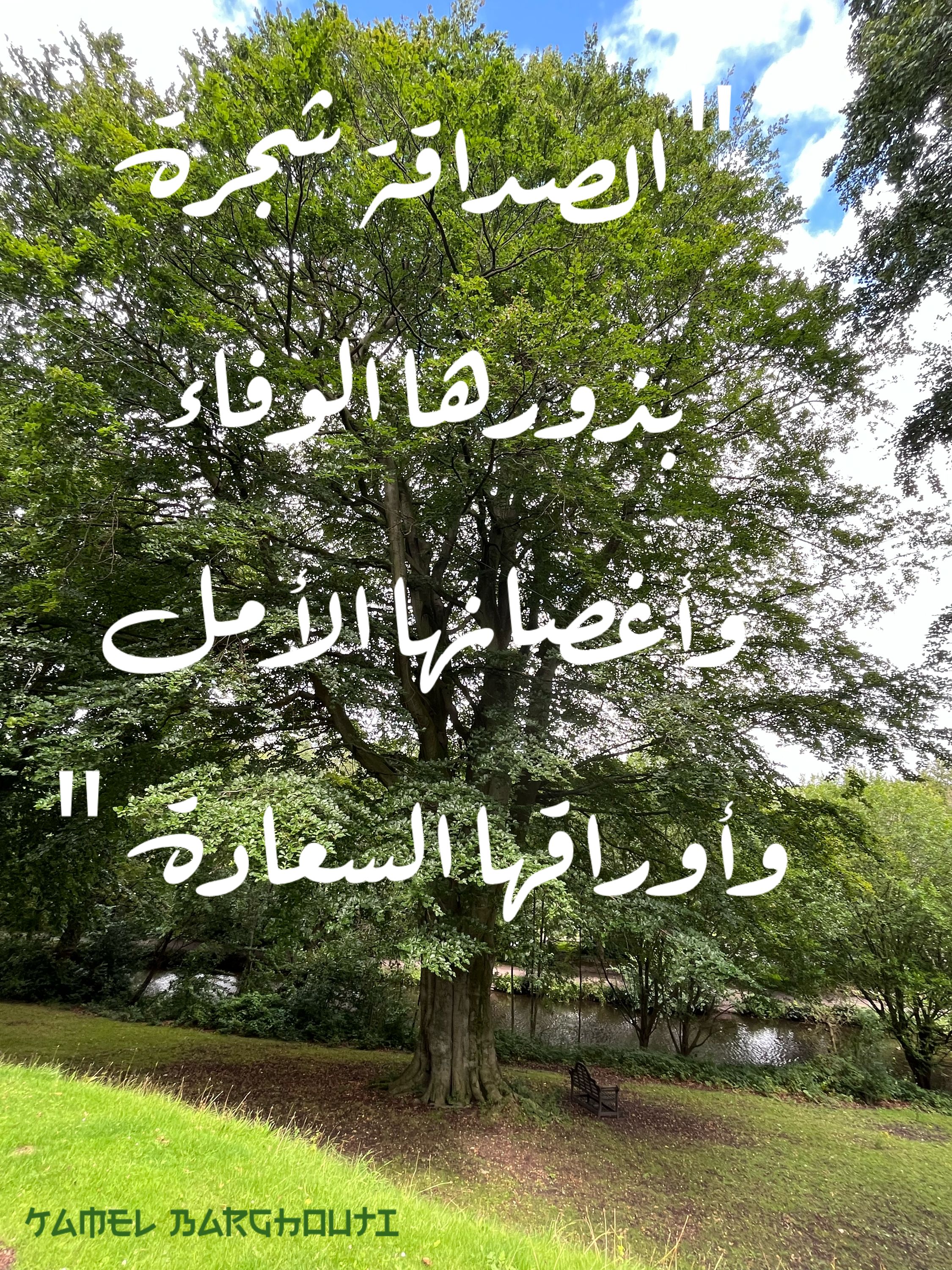 صداقة – اقتباس 29