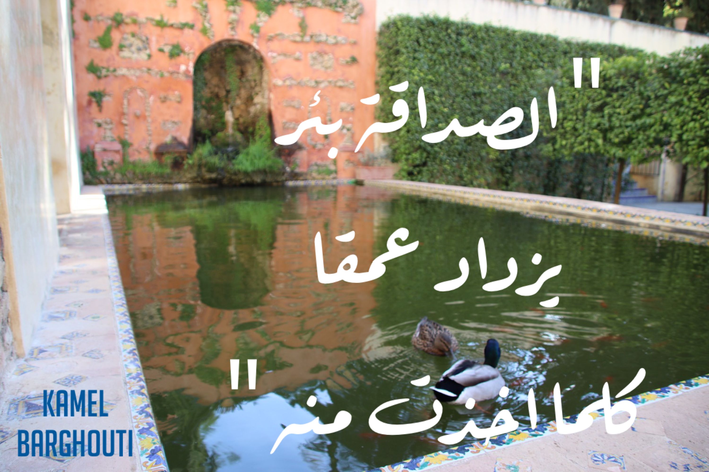 صداقة – اقتباس 25