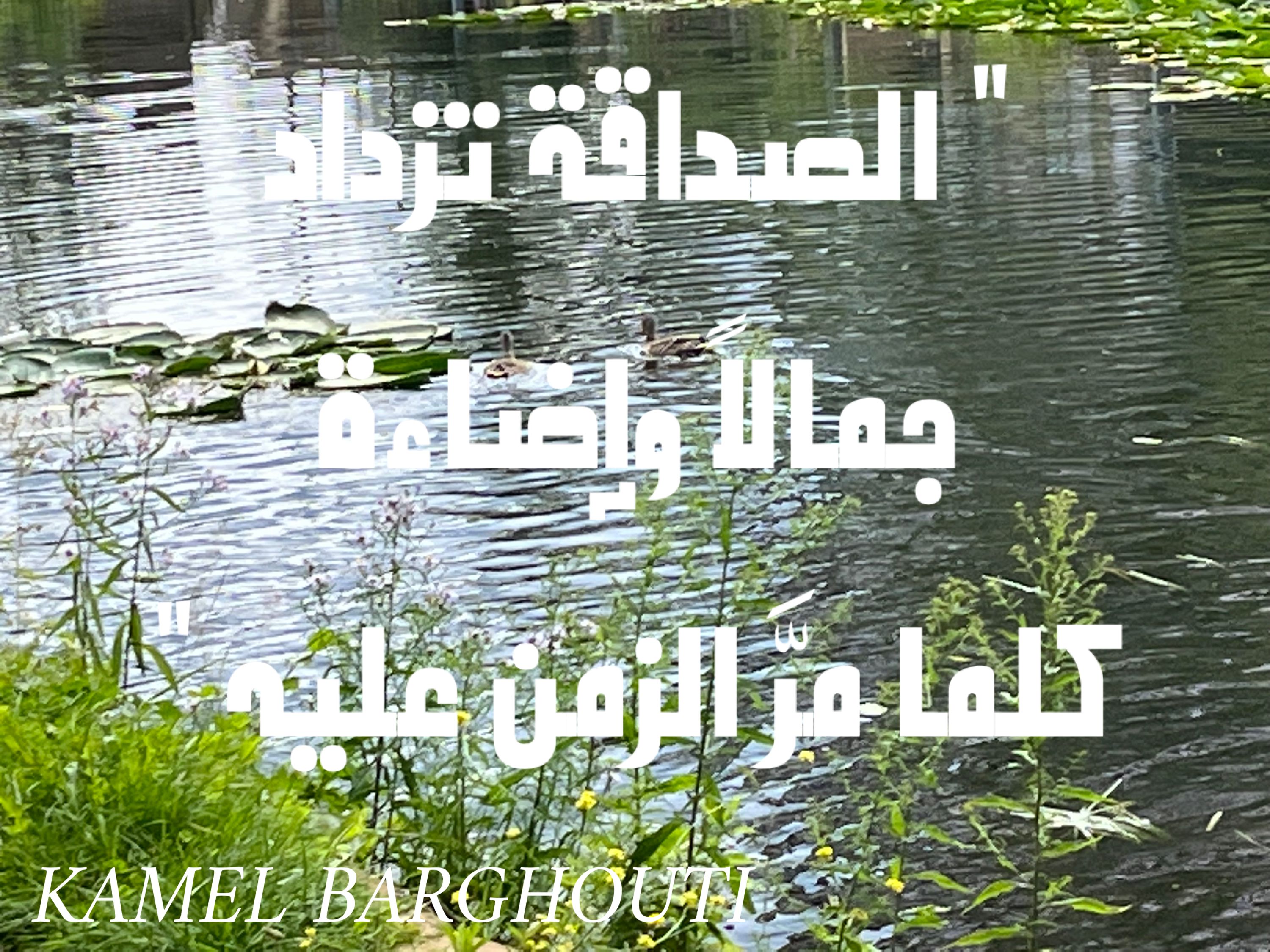 صداقة – اقتباس 34