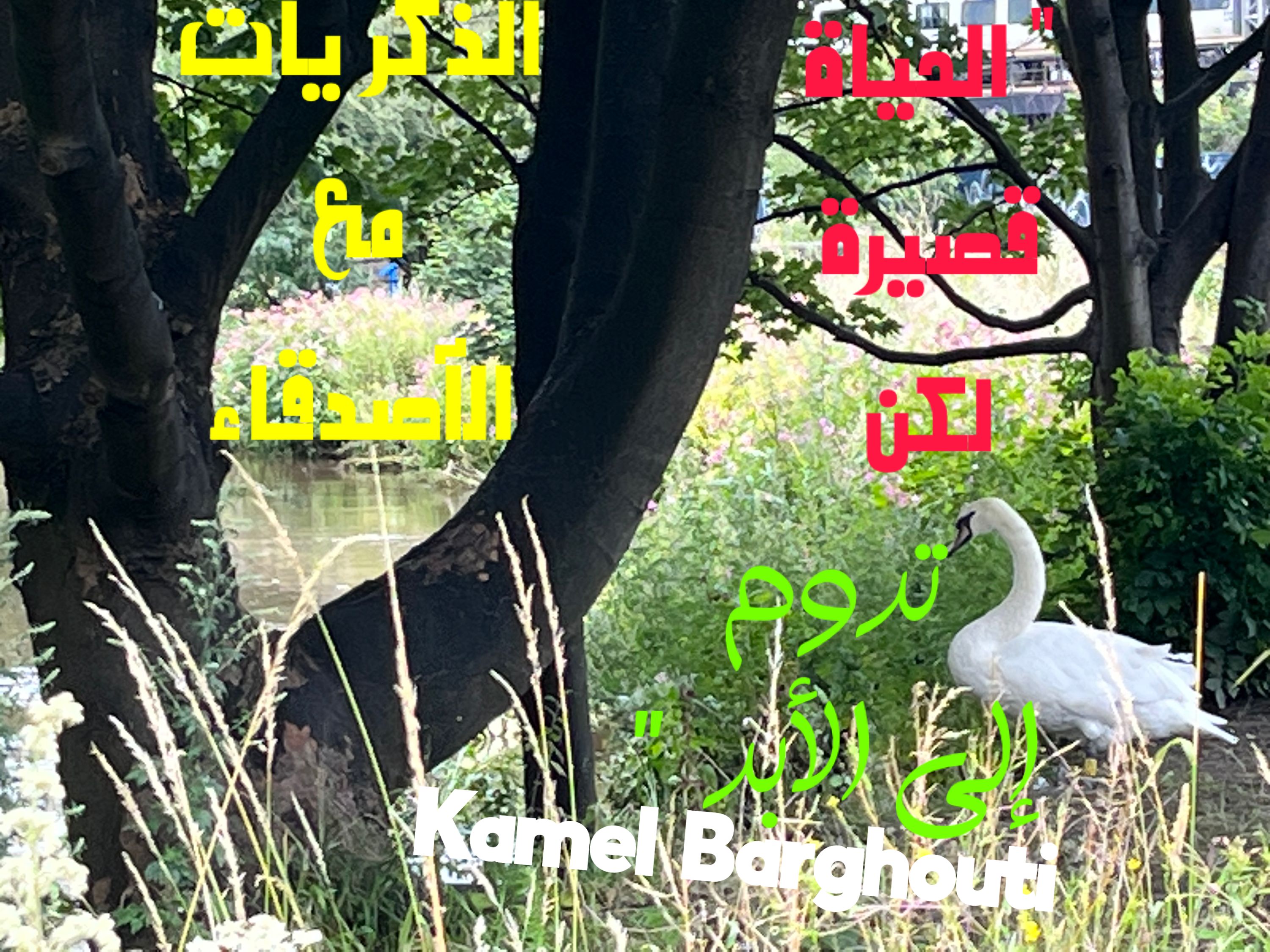 صداقة – اقتباس 35