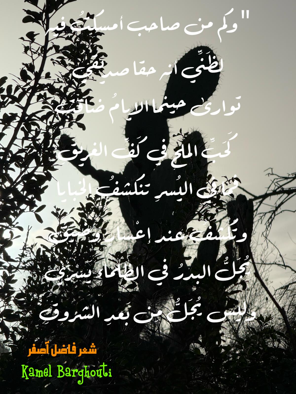 صداقة – اقتباس 13