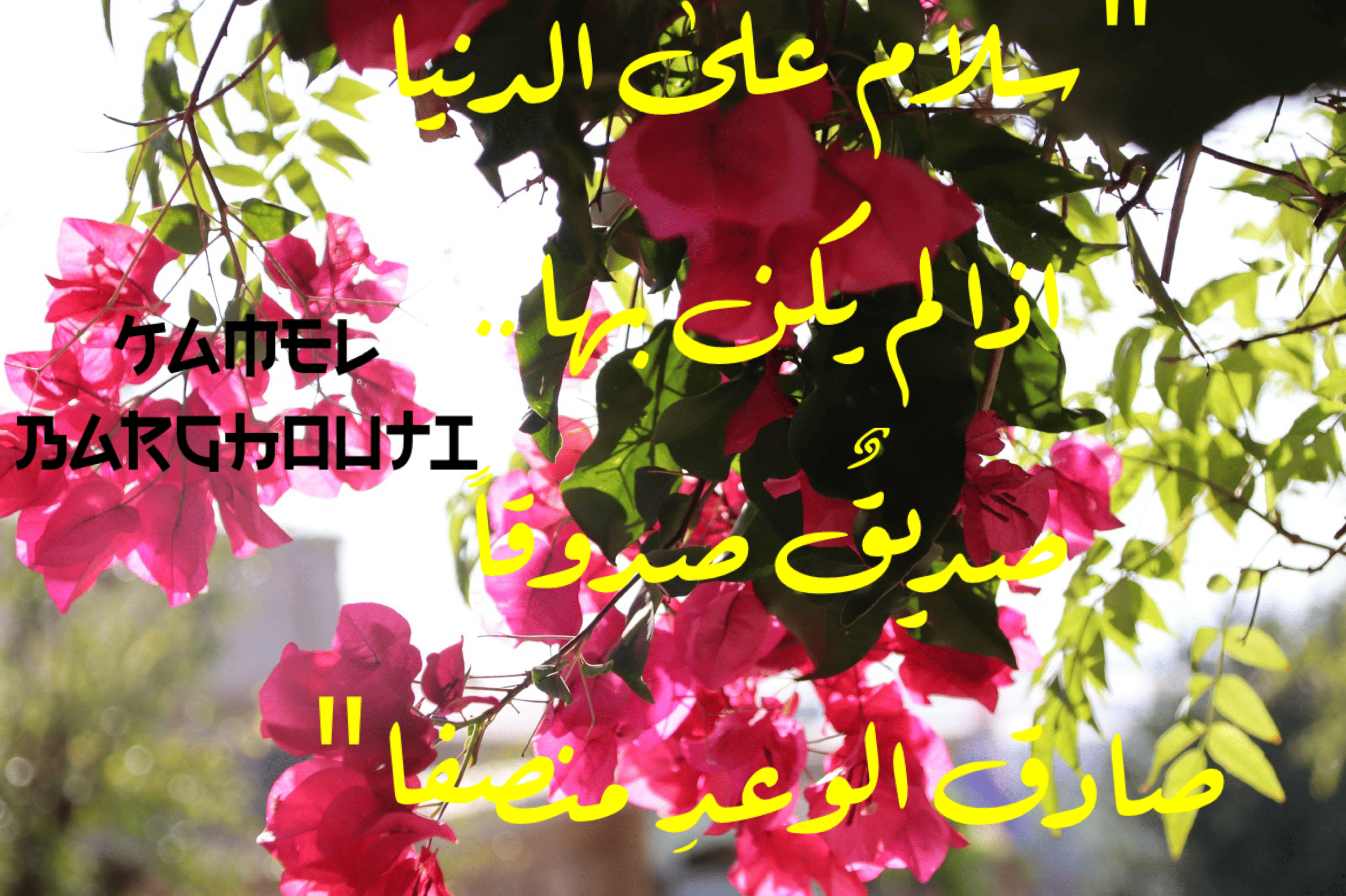 صداقة – اقتباس 10