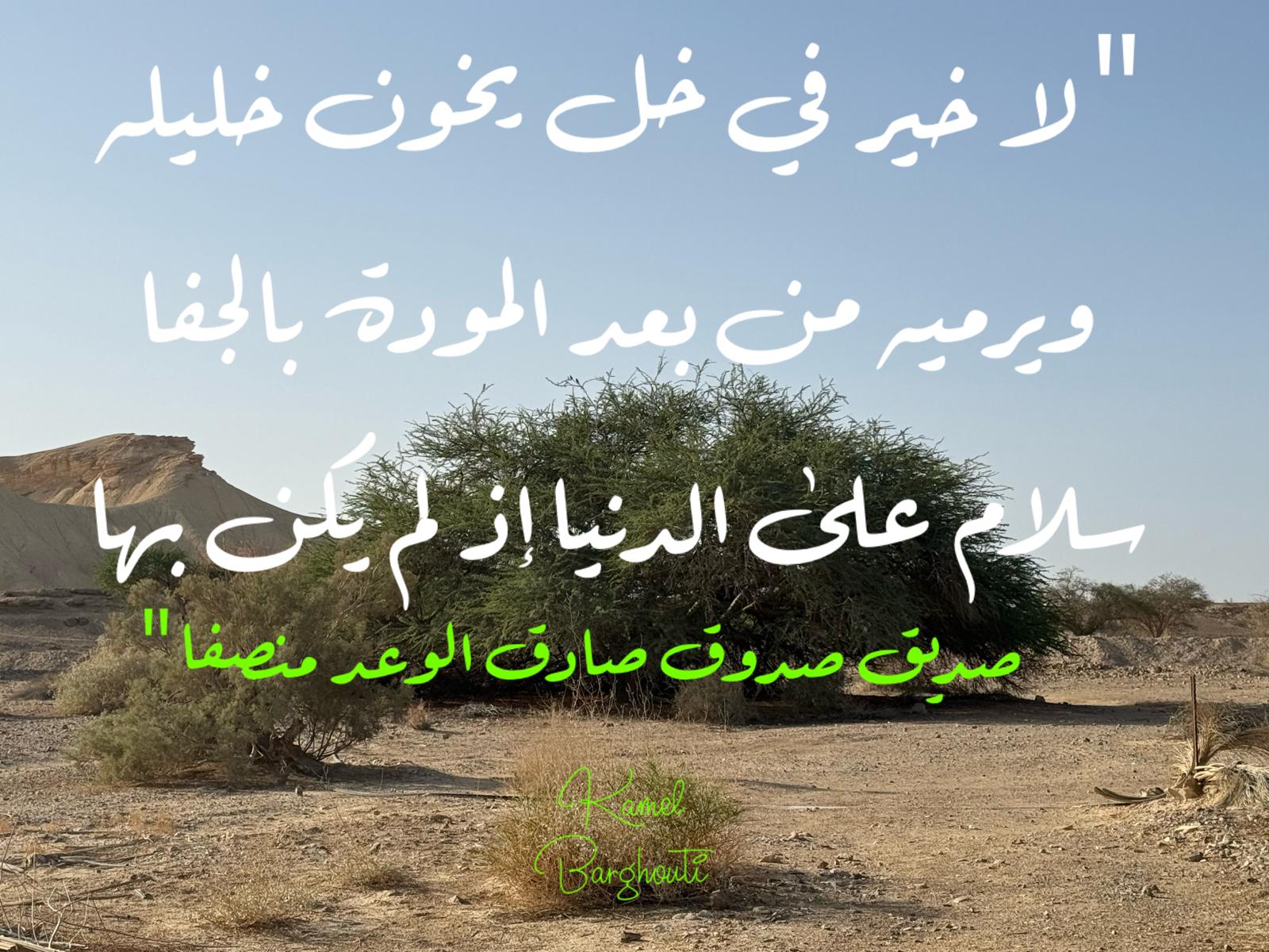 صداقة – اقتباس 19