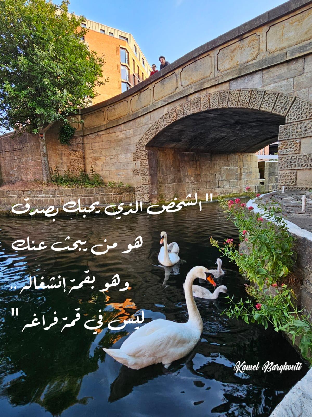 صداقة – اقتباس 17
