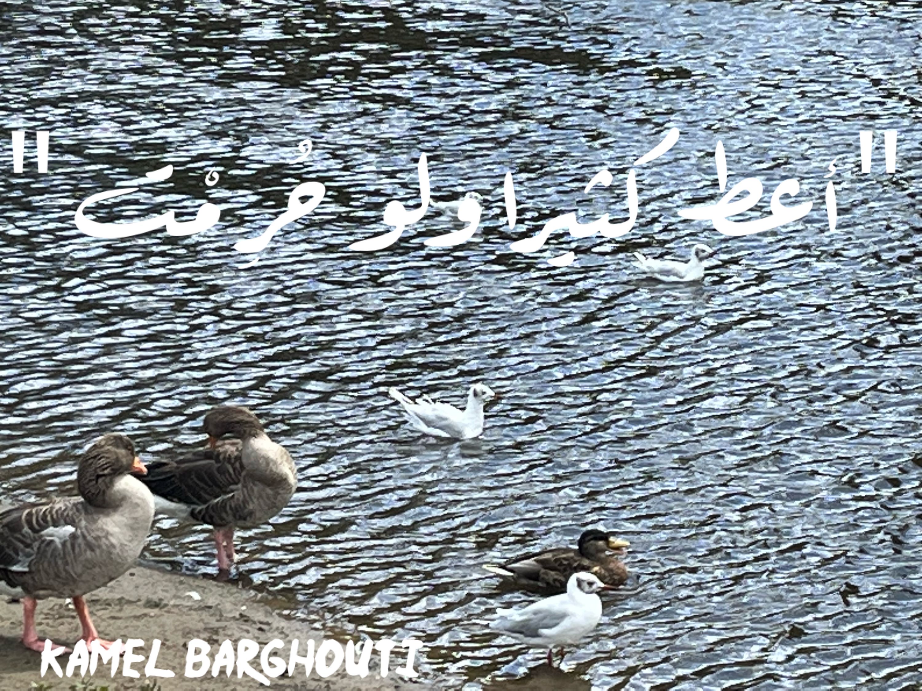الكرم والعطاء – اقتباس 78
