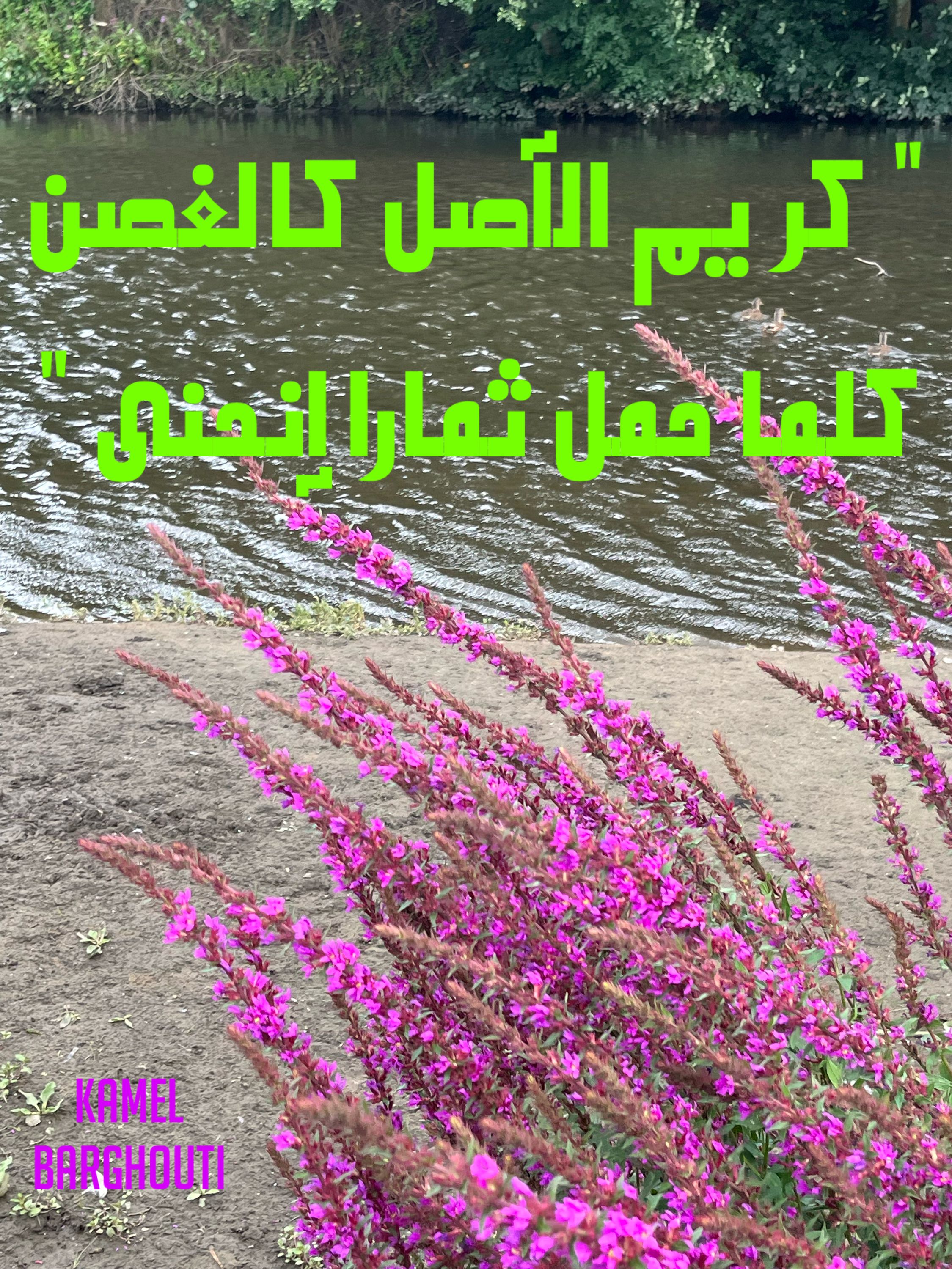الكرم والعطاء – اقتباس 77