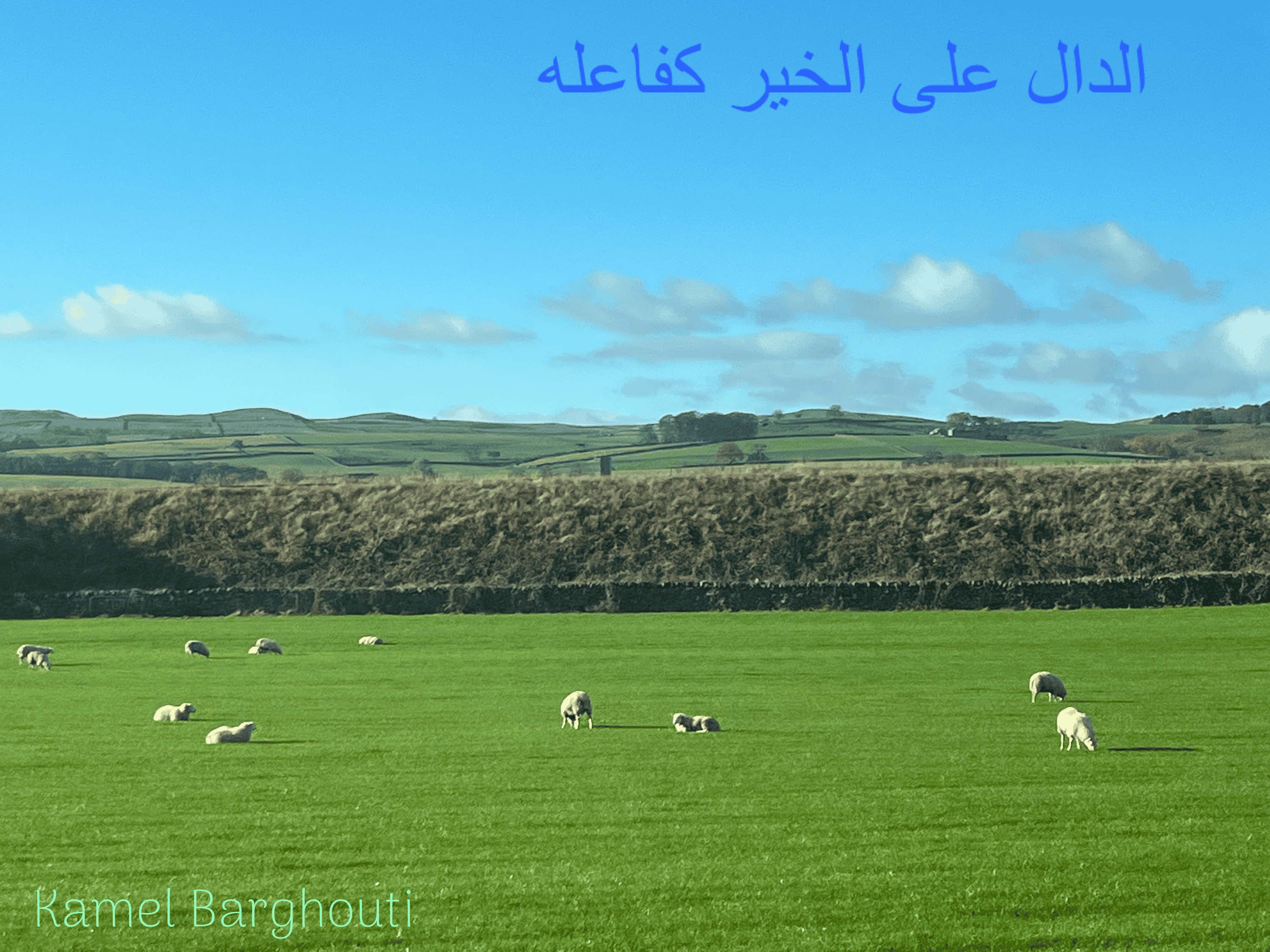 الكرم والعطاء – اقتباس 43