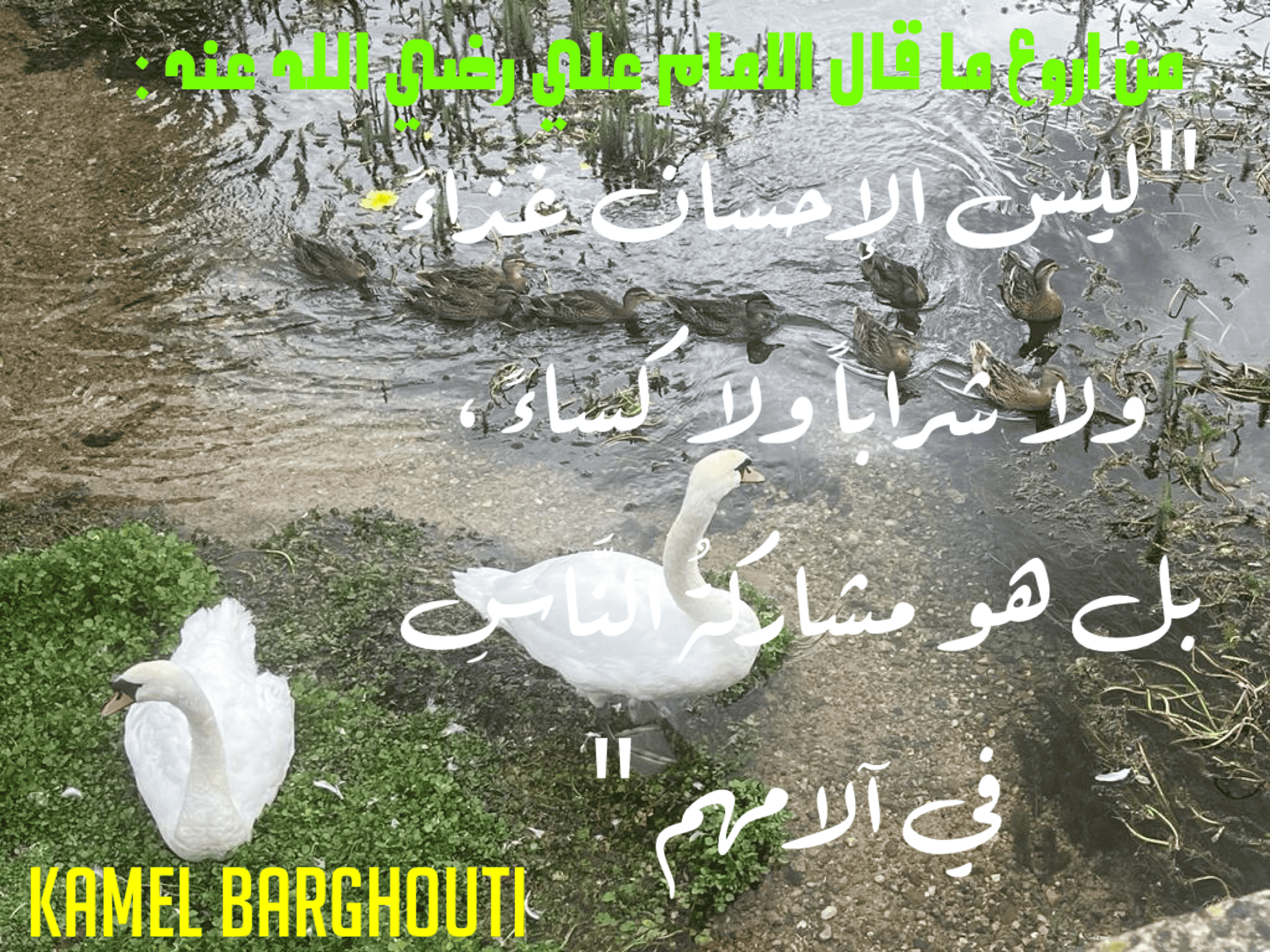 الكرم والعطاء – اقتباس 6