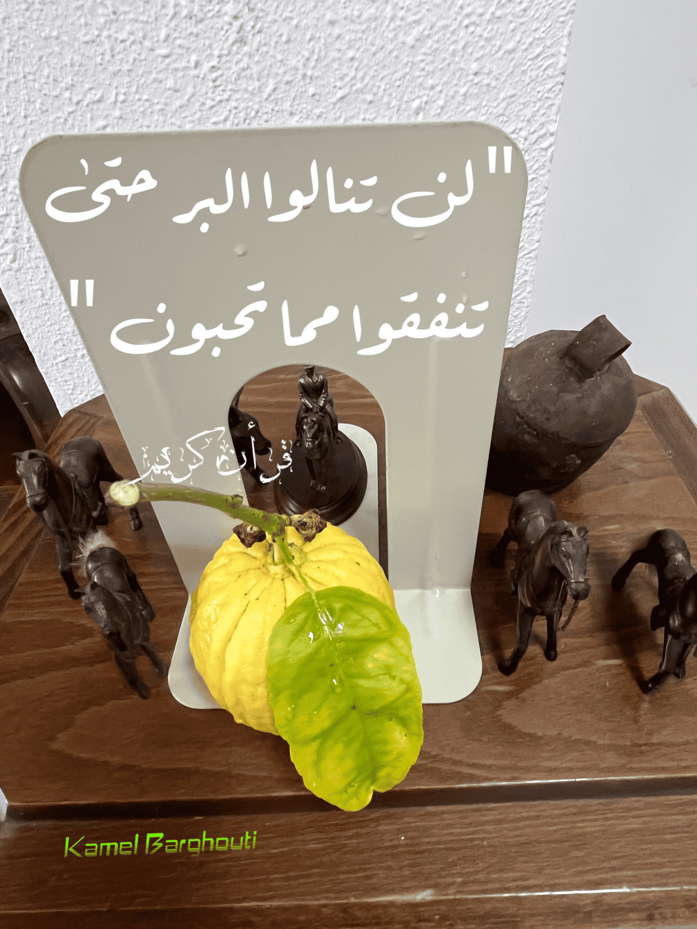 الكرم والعطاء – اقتباس 12