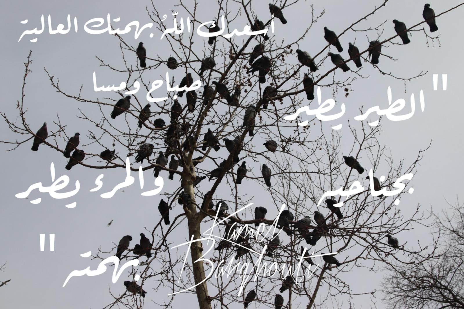 تفاؤل, أمل, وسعادة – اقتباس 354