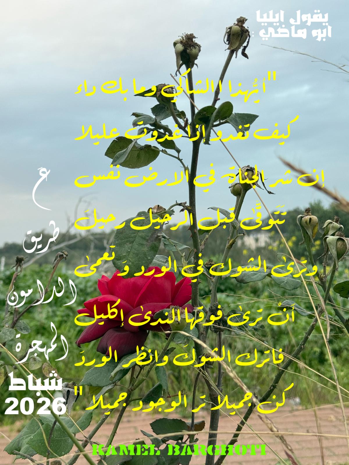 تفاؤل, أمل, وسعادة – اقتباس 340