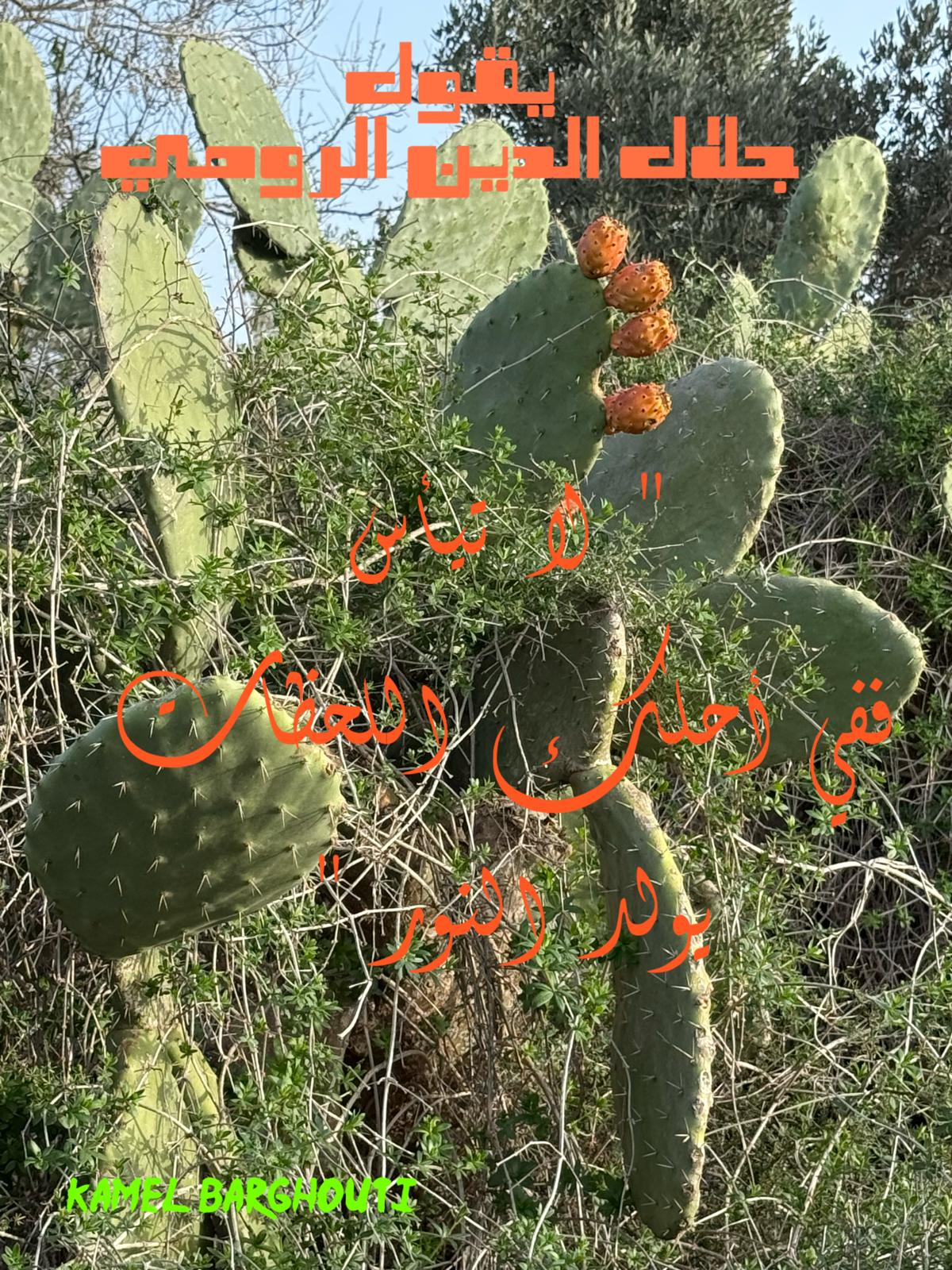 تفاؤل, أمل, وسعادة – اقتباس 342