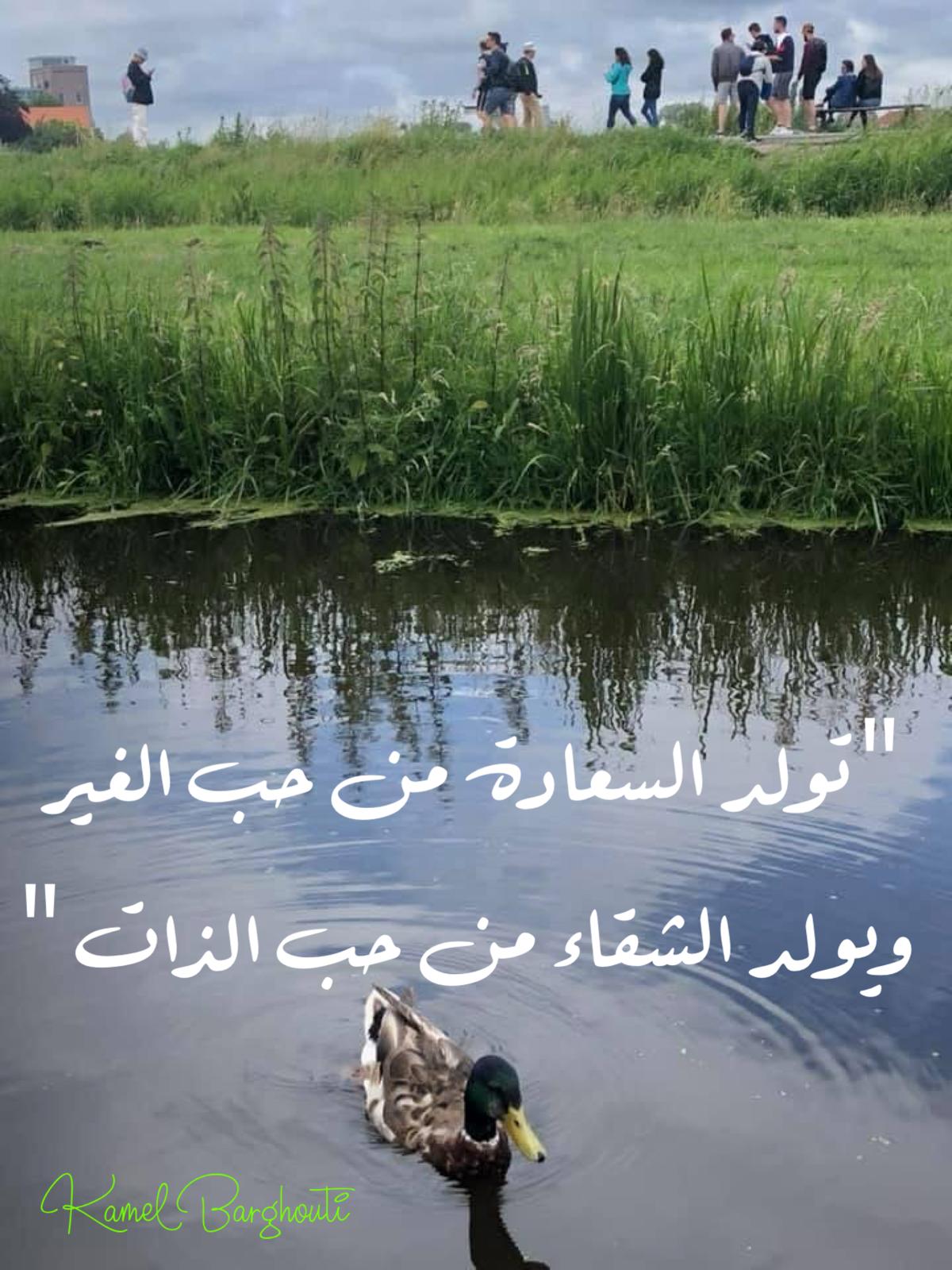 تفاؤل, أمل, وسعادة – اقتباس 338