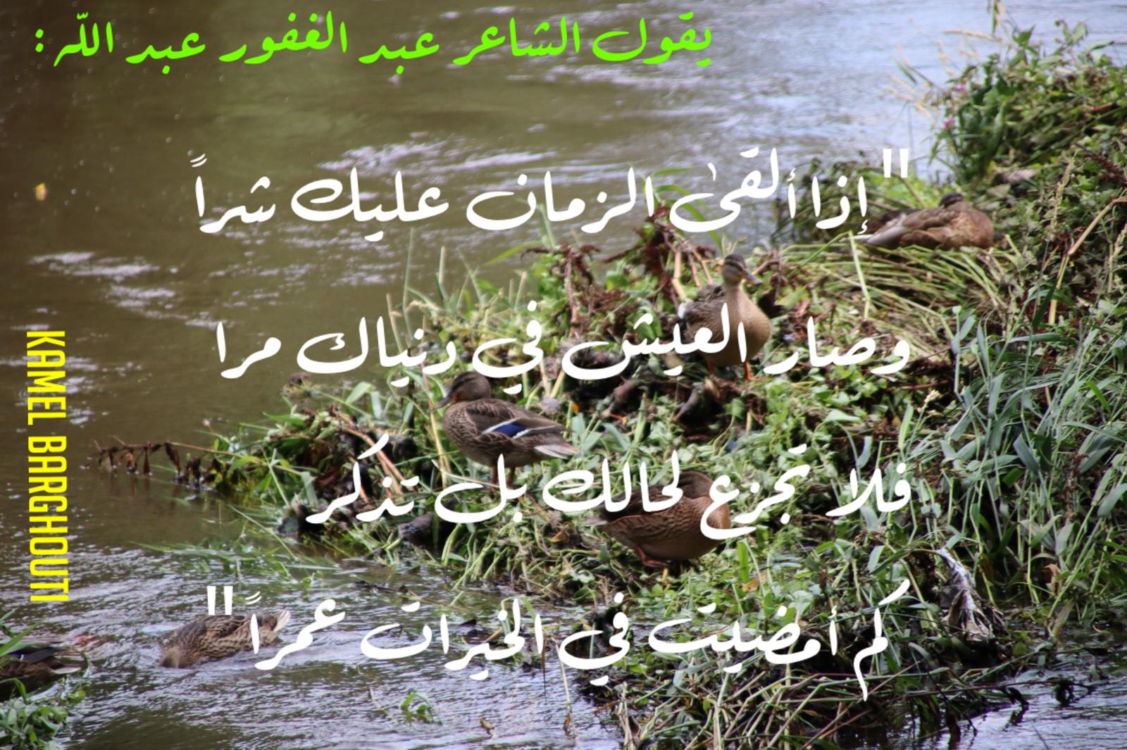 تفاؤل, أمل, وسعادة – اقتباس 345