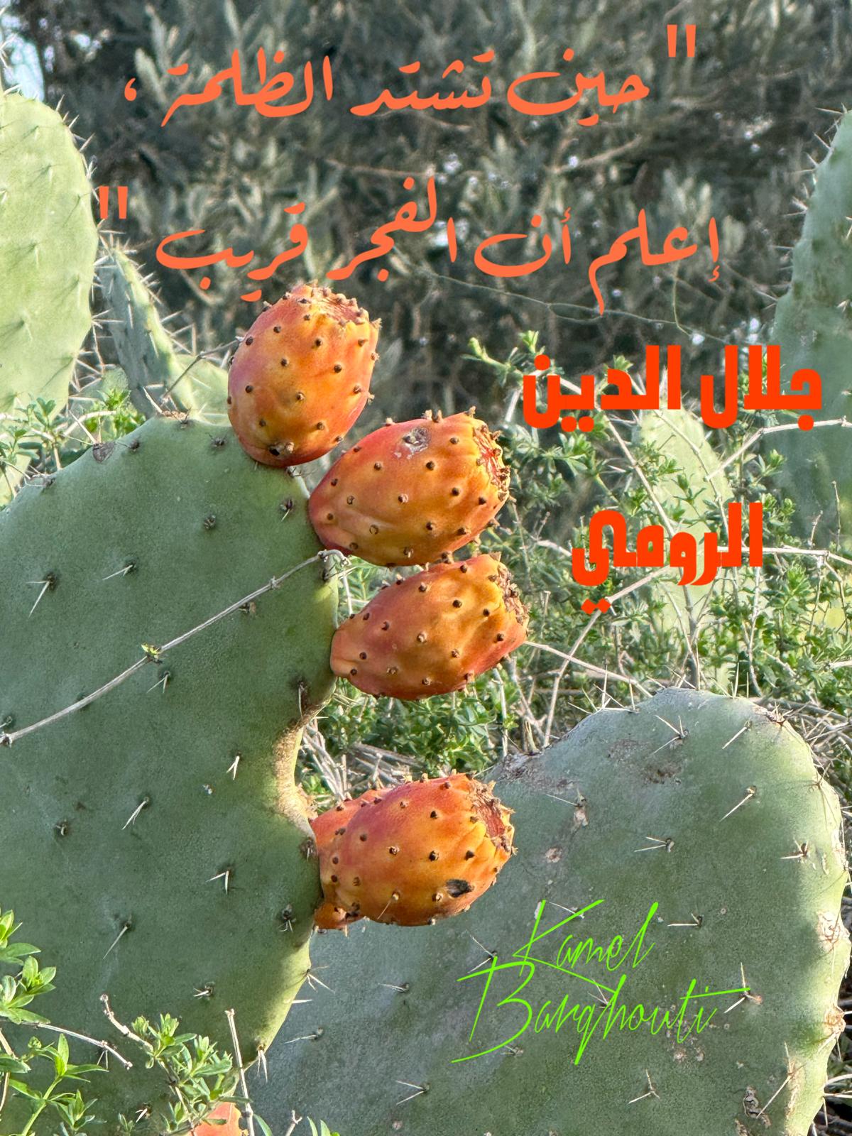تفاؤل, أمل, وسعادة – اقتباس 343
