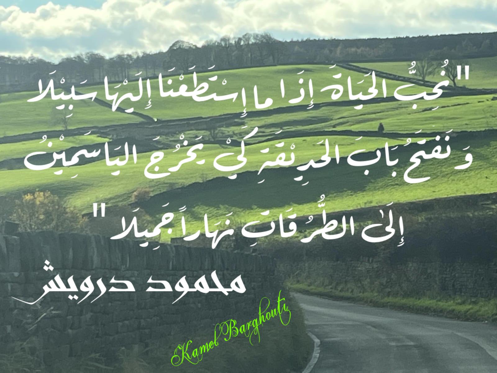 تفاؤل, أمل, وسعادة – اقتباس 347