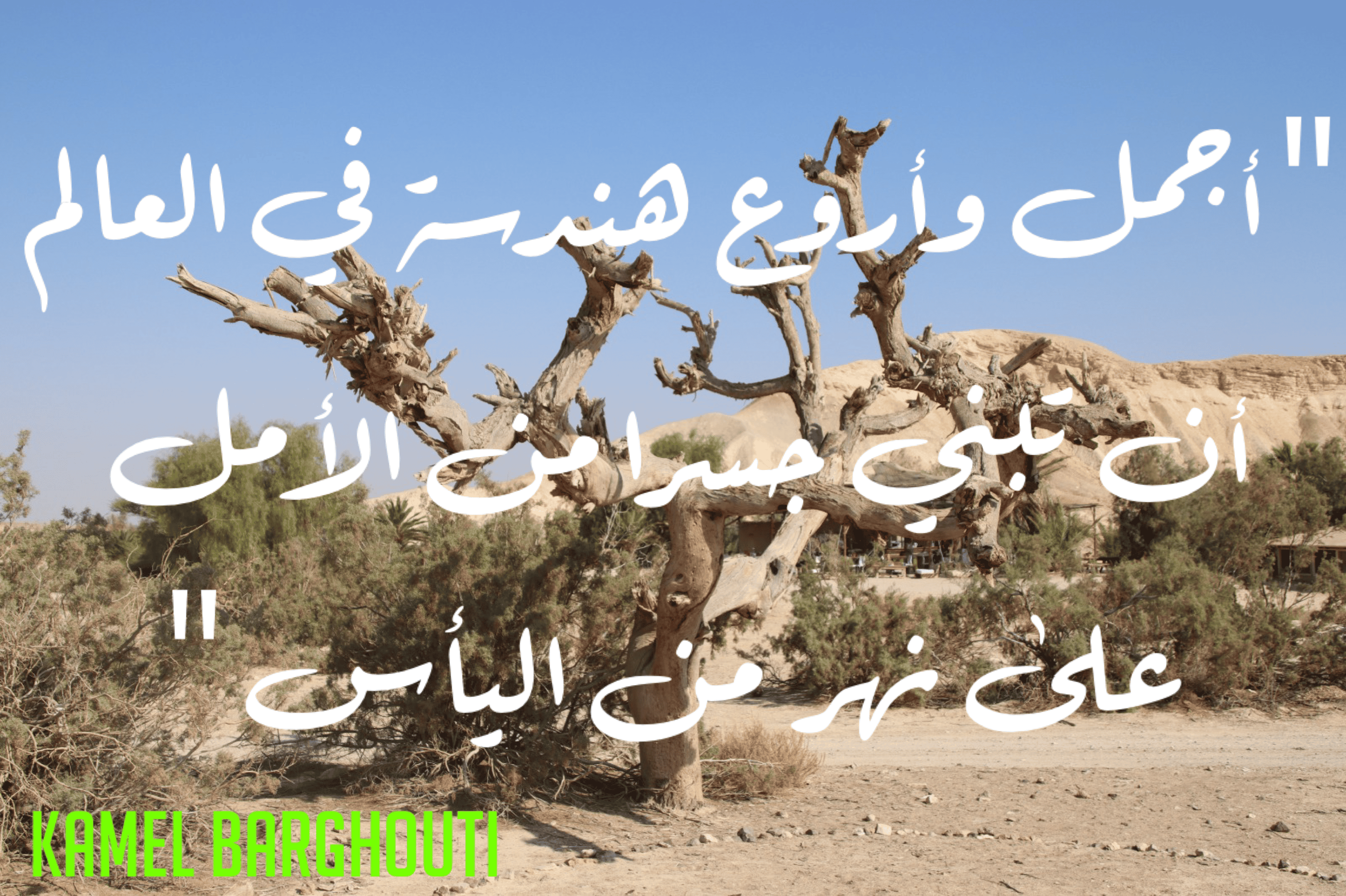 تفاؤل, أمل, وسعادة – اقتباس 334