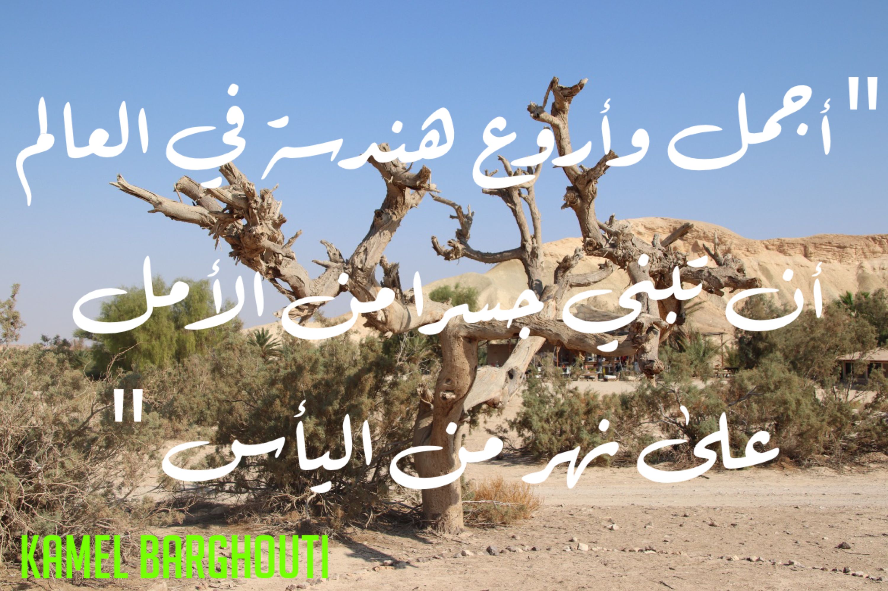 تفاؤل, أمل, وسعادة – اقتباس 333