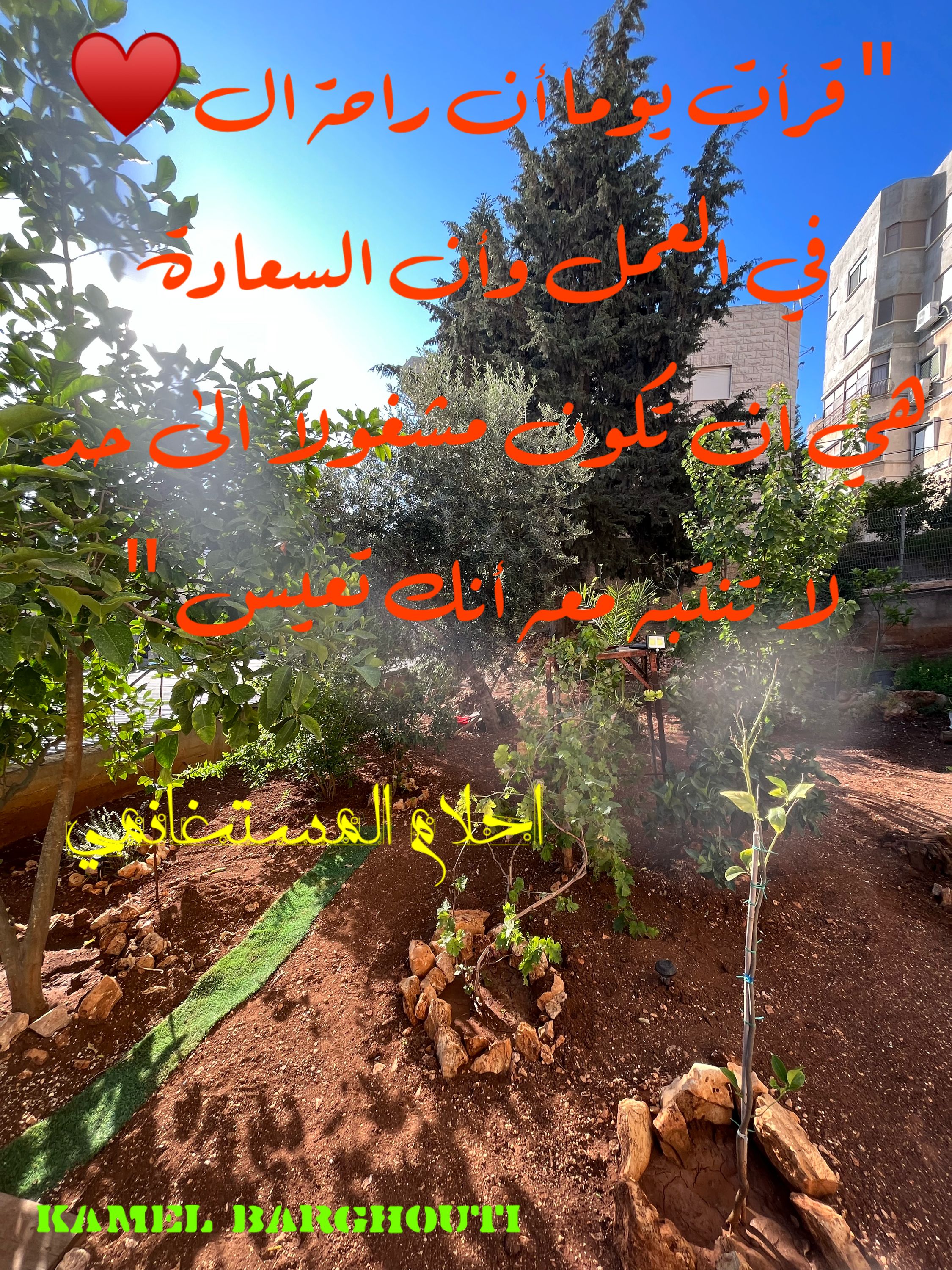 تفاؤل, أمل, وسعادة – اقتباس 309
