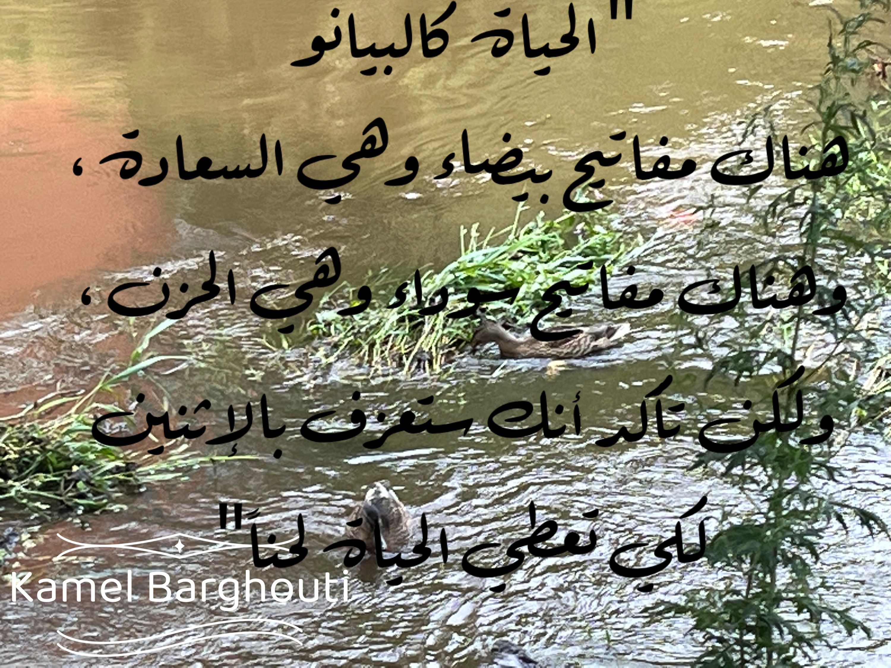 تفاؤل, أمل, وسعادة – اقتباس 303