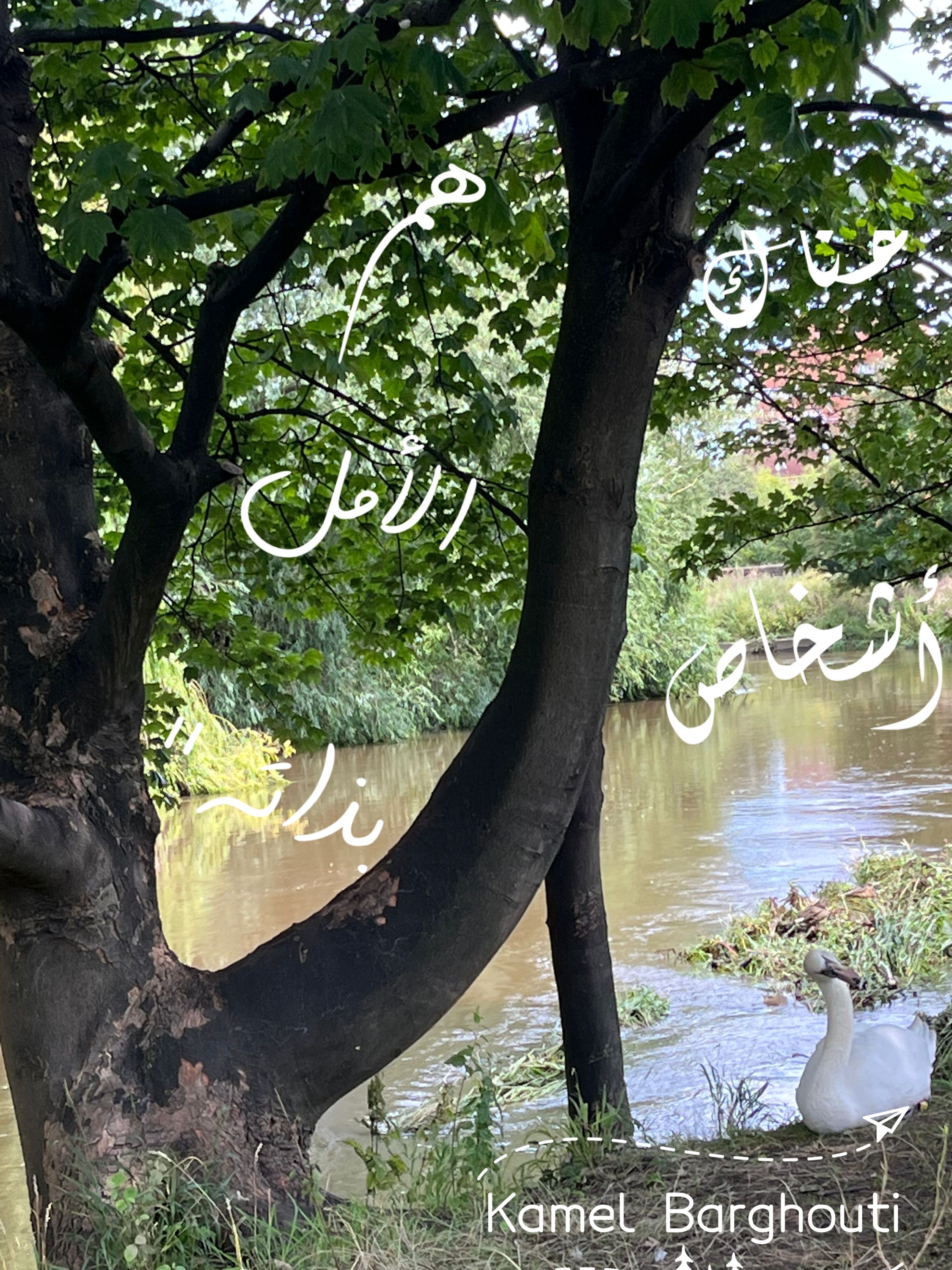 تفاؤل, أمل, وسعادة – اقتباس 306