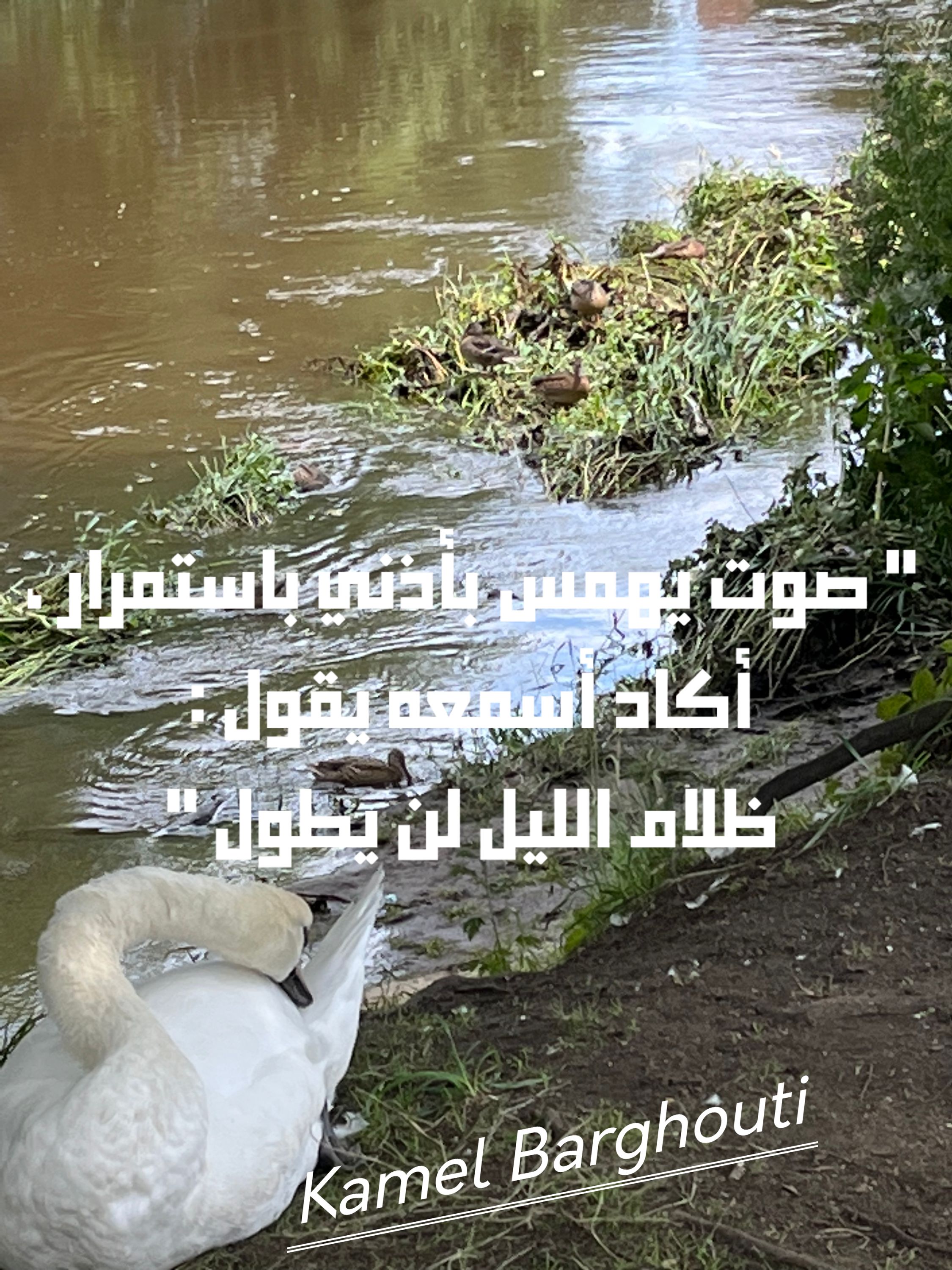 تفاؤل, أمل, وسعادة – اقتباس 305