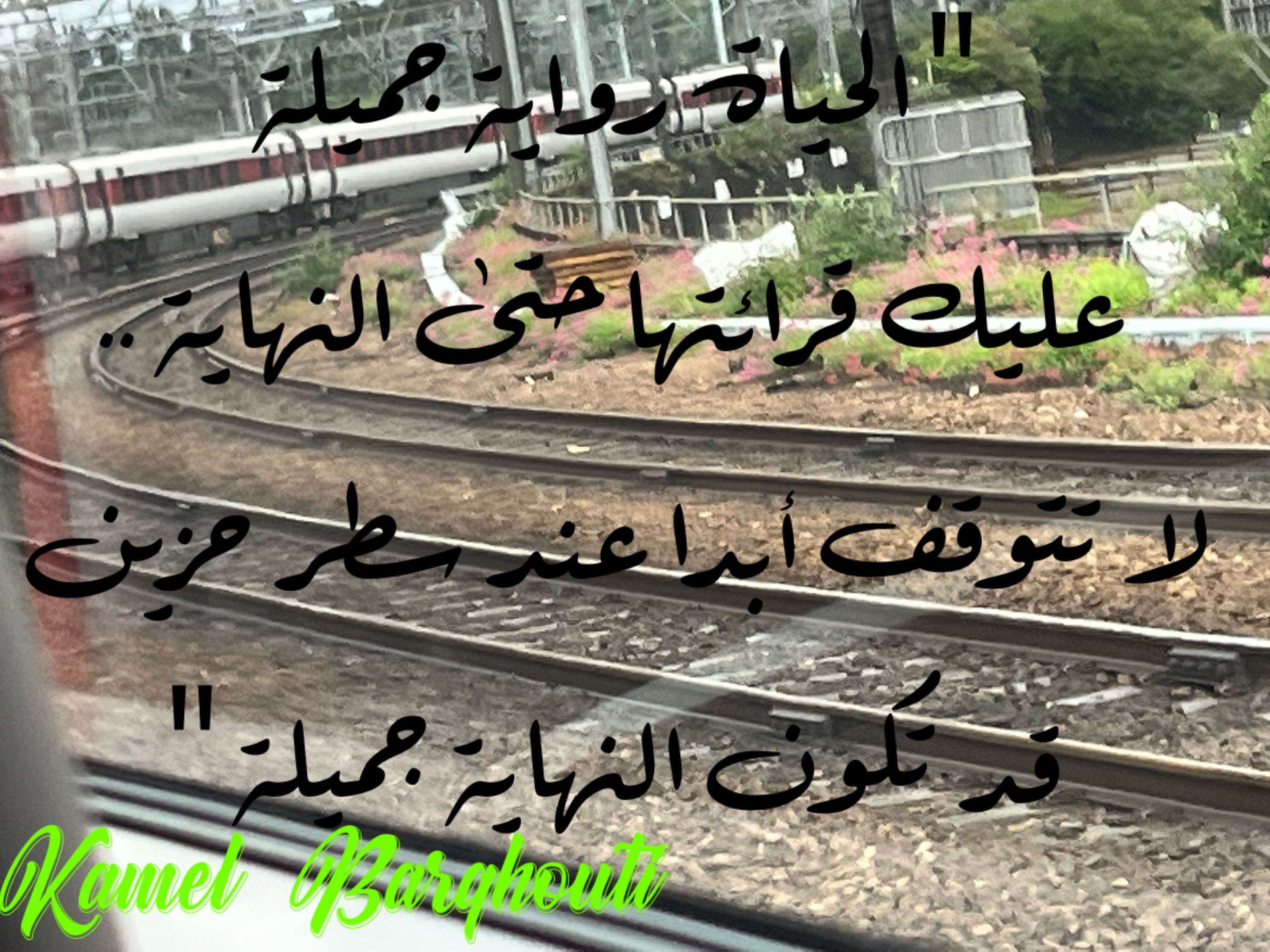تفاؤل, أمل, وسعادة – اقتباس 295