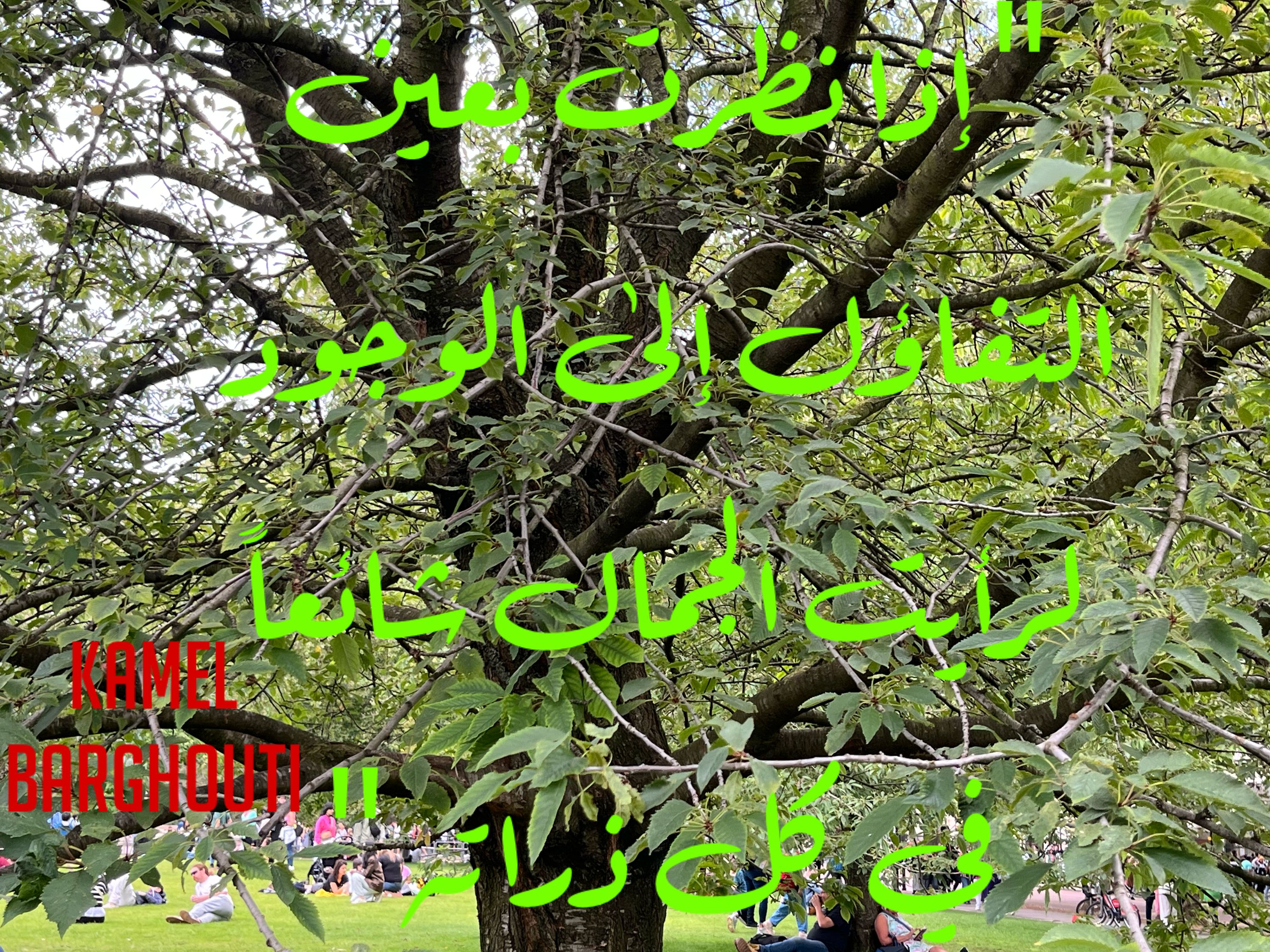 تفاؤل, أمل, وسعادة – اقتباس 289