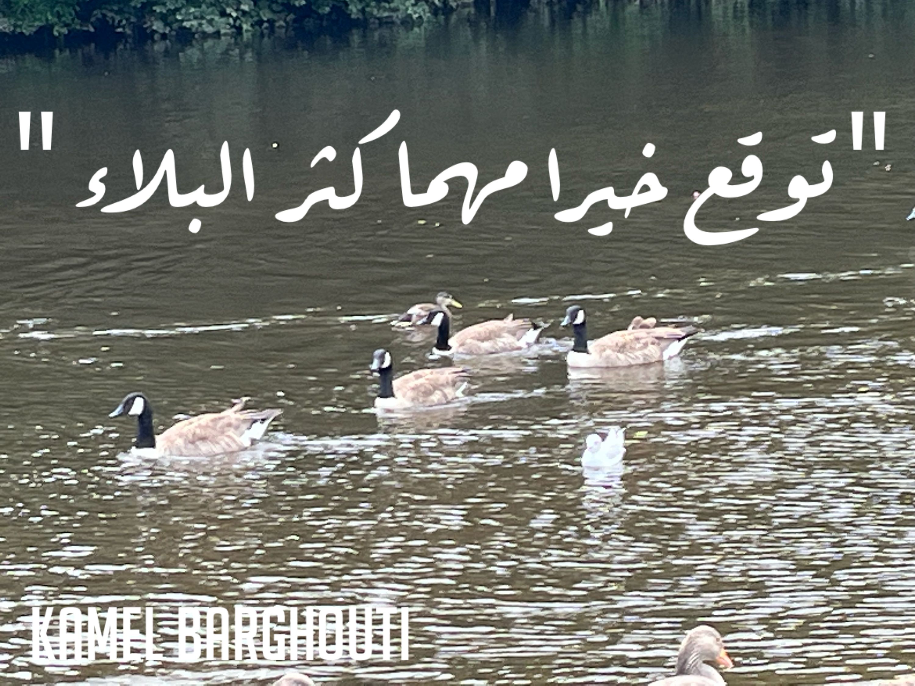 تفاؤل, أمل, وسعادة – اقتباس 294