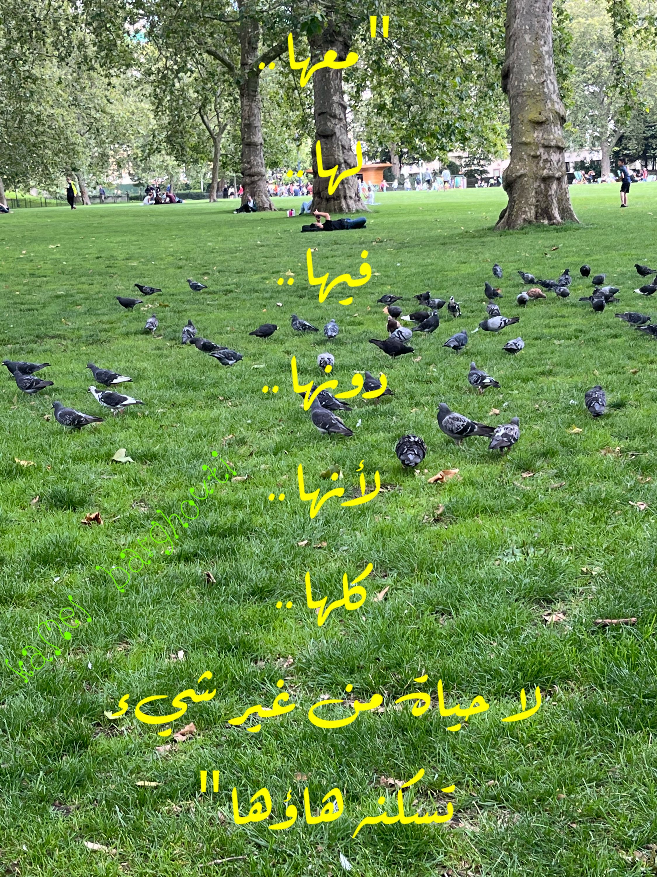 تفاؤل, أمل, وسعادة – اقتباس 285