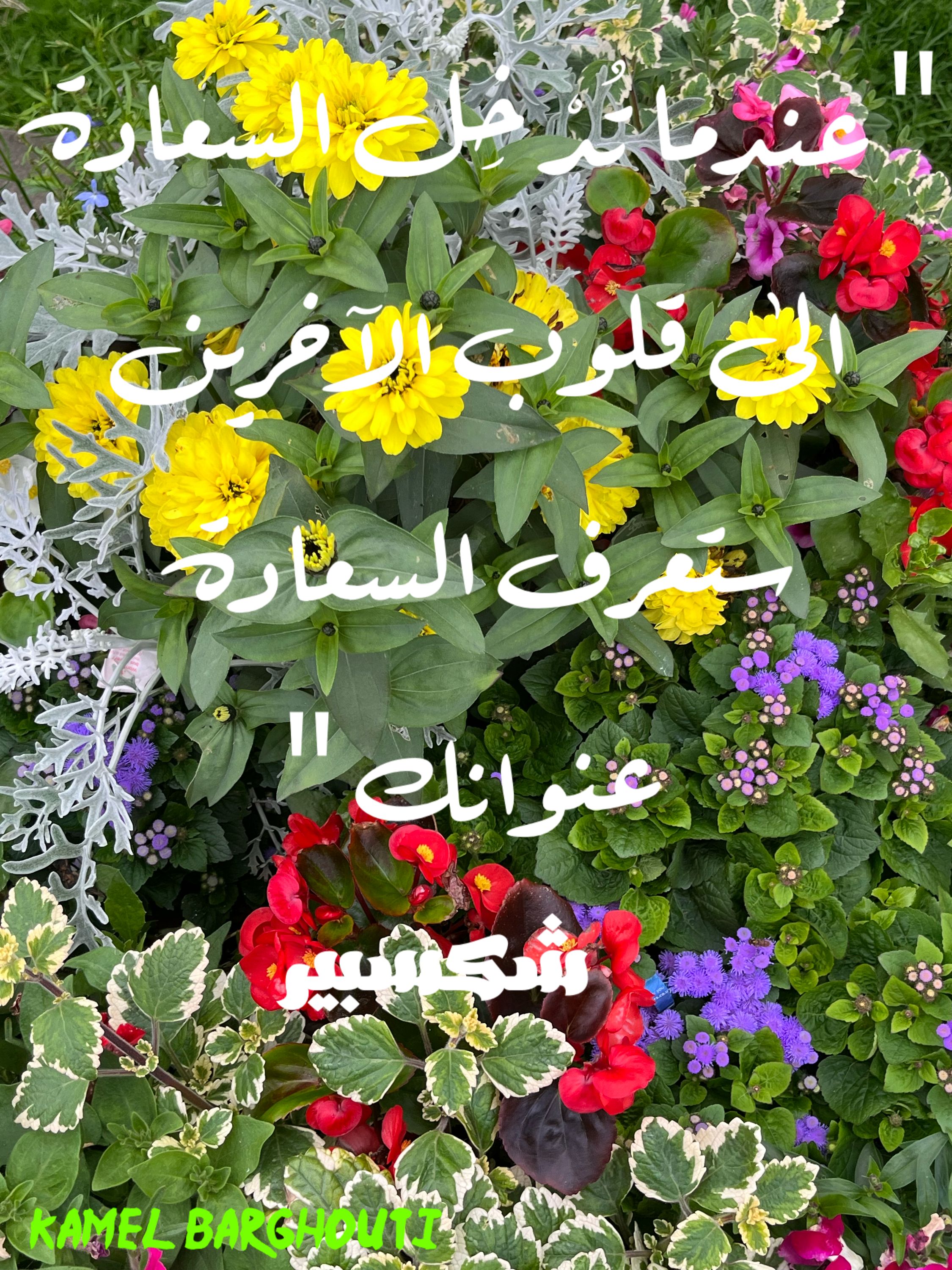تفاؤل, أمل, وسعادة – اقتباس 272