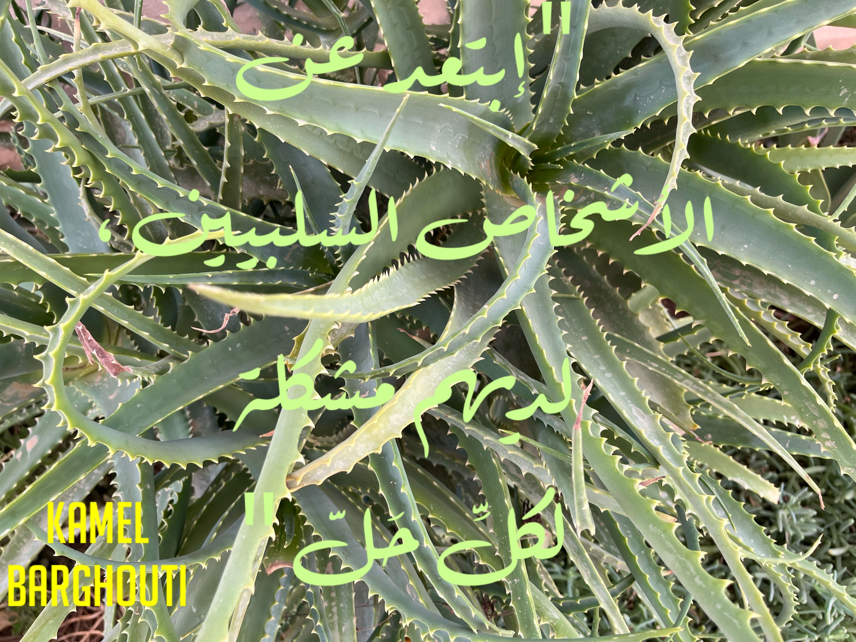تفاؤل, أمل, وسعادة – اقتباس 257