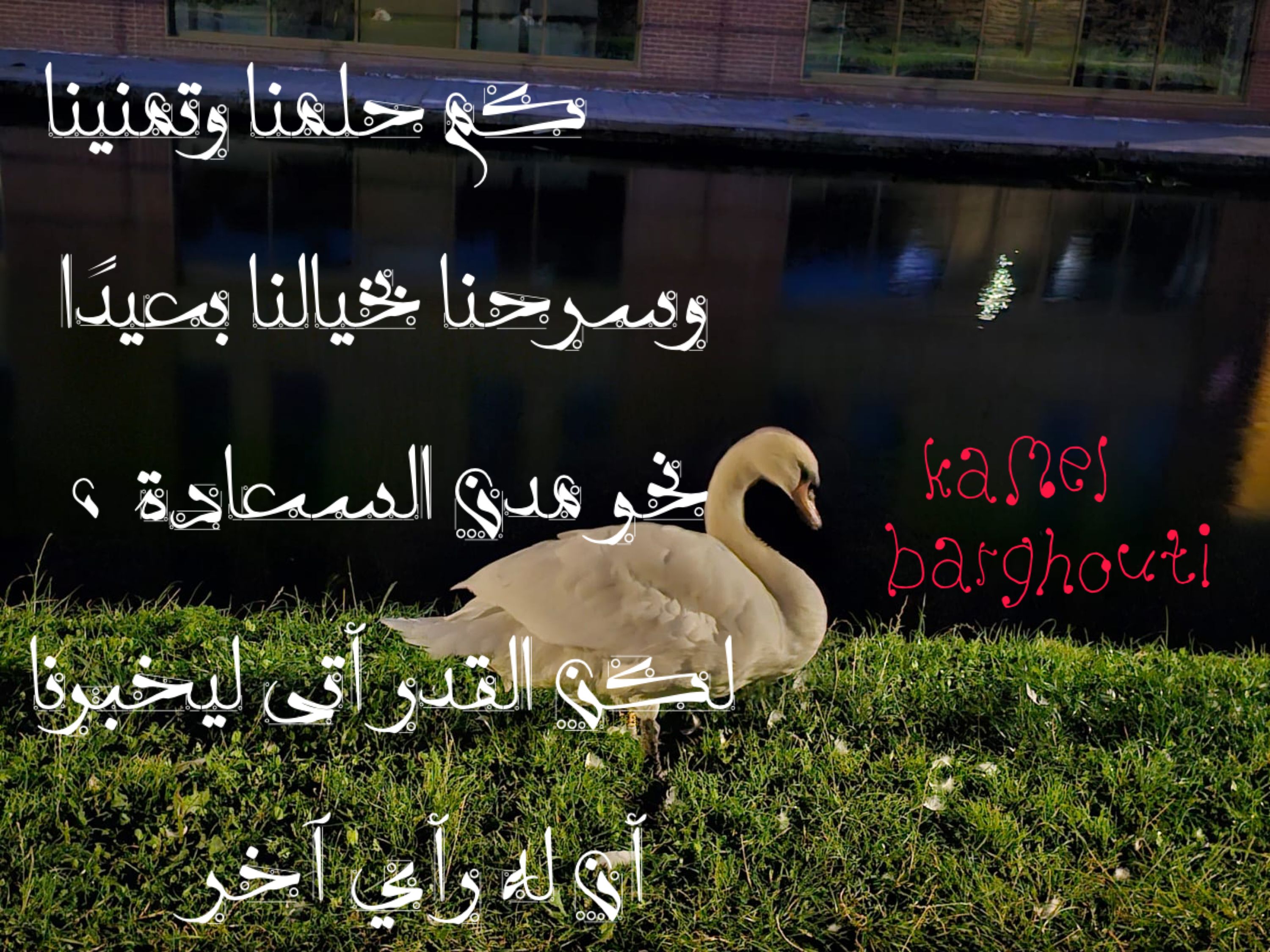 تفاؤل, أمل, وسعادة – اقتباس 267