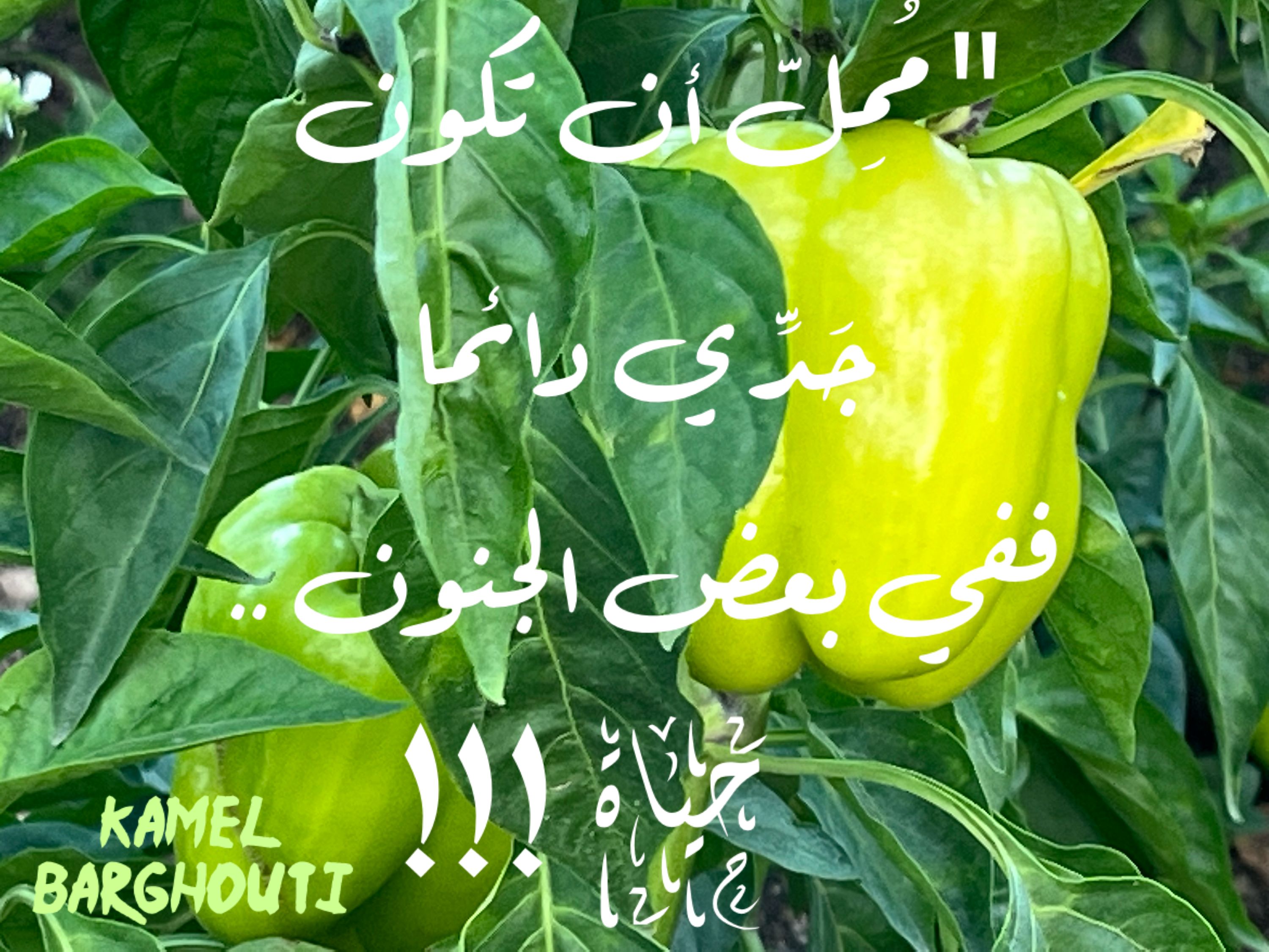 تفاؤل, أمل, وسعادة – اقتباس 264