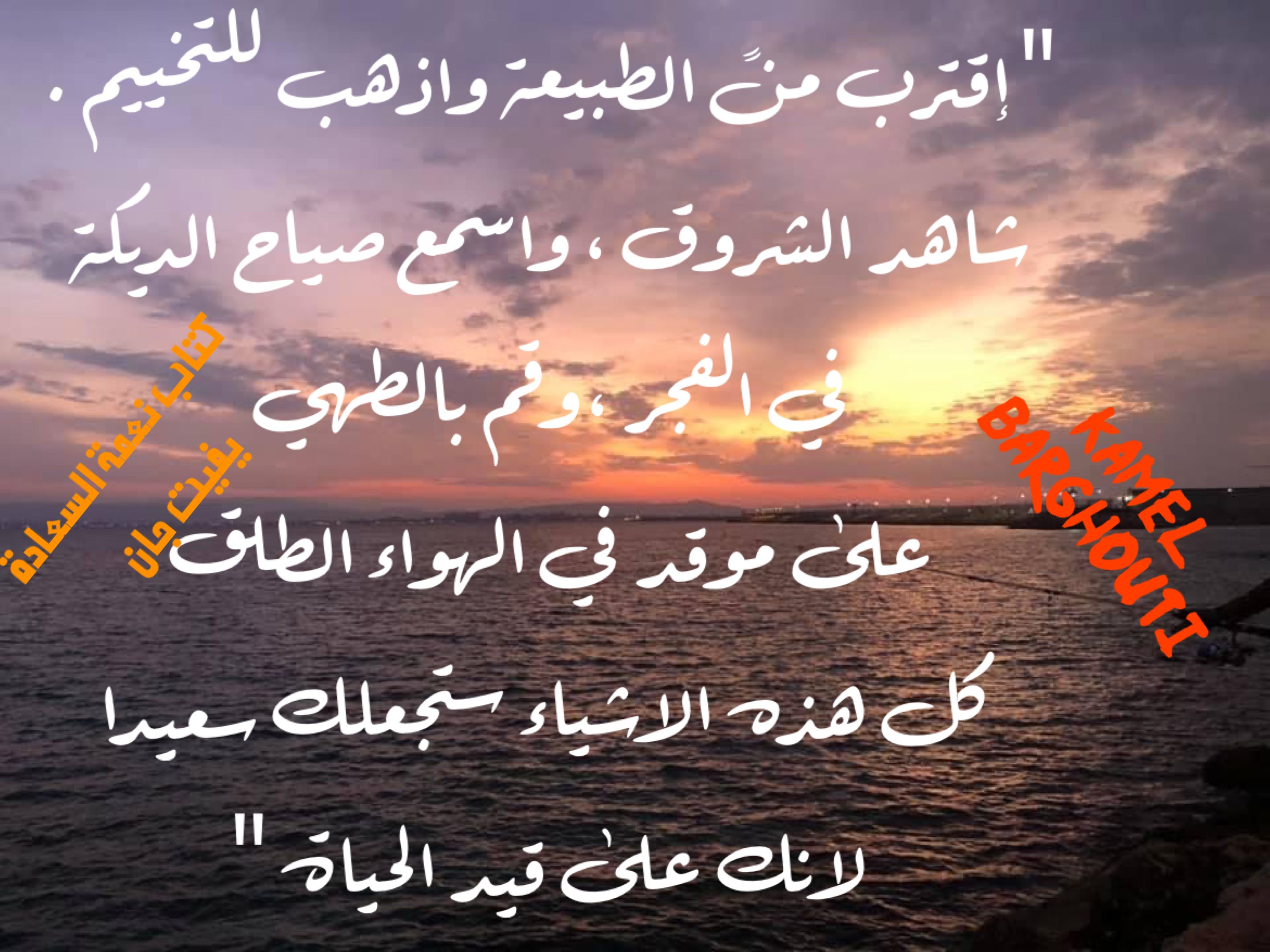 تفاؤل, أمل, وسعادة – اقتباس 217