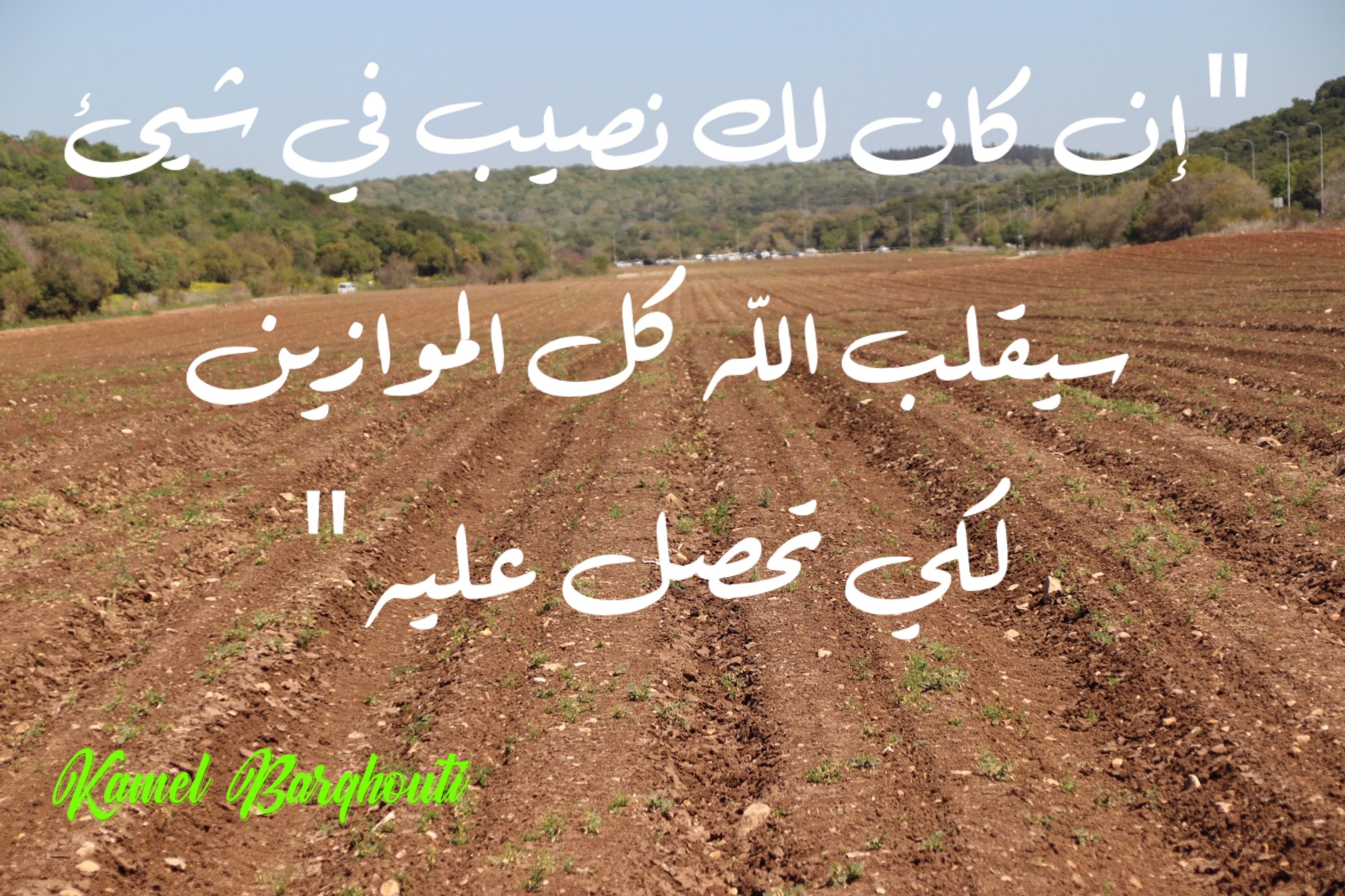 تفاؤل, أمل, وسعادة – اقتباس 193