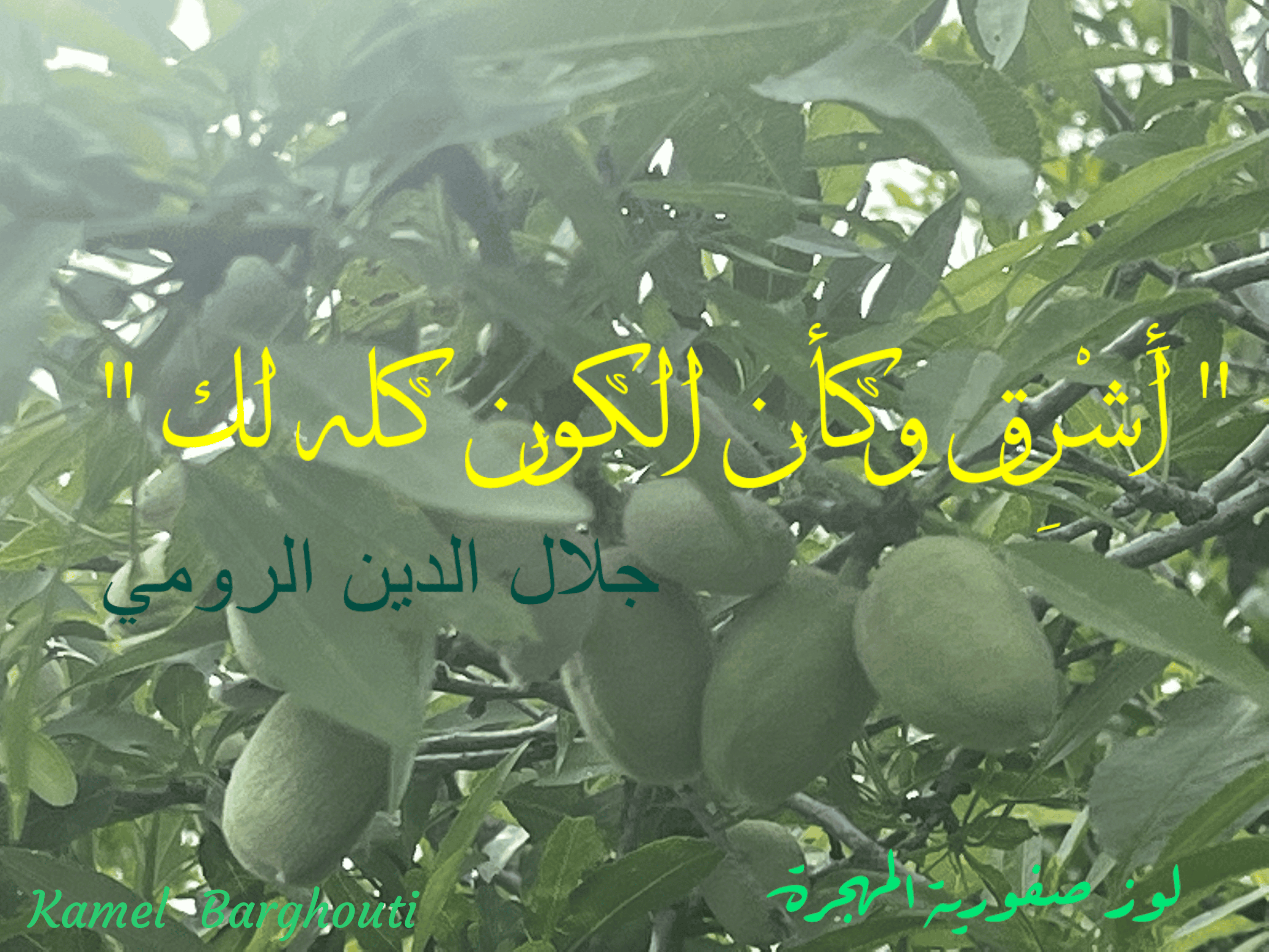 تفاؤل, أمل, وسعادة – اقتباس 192