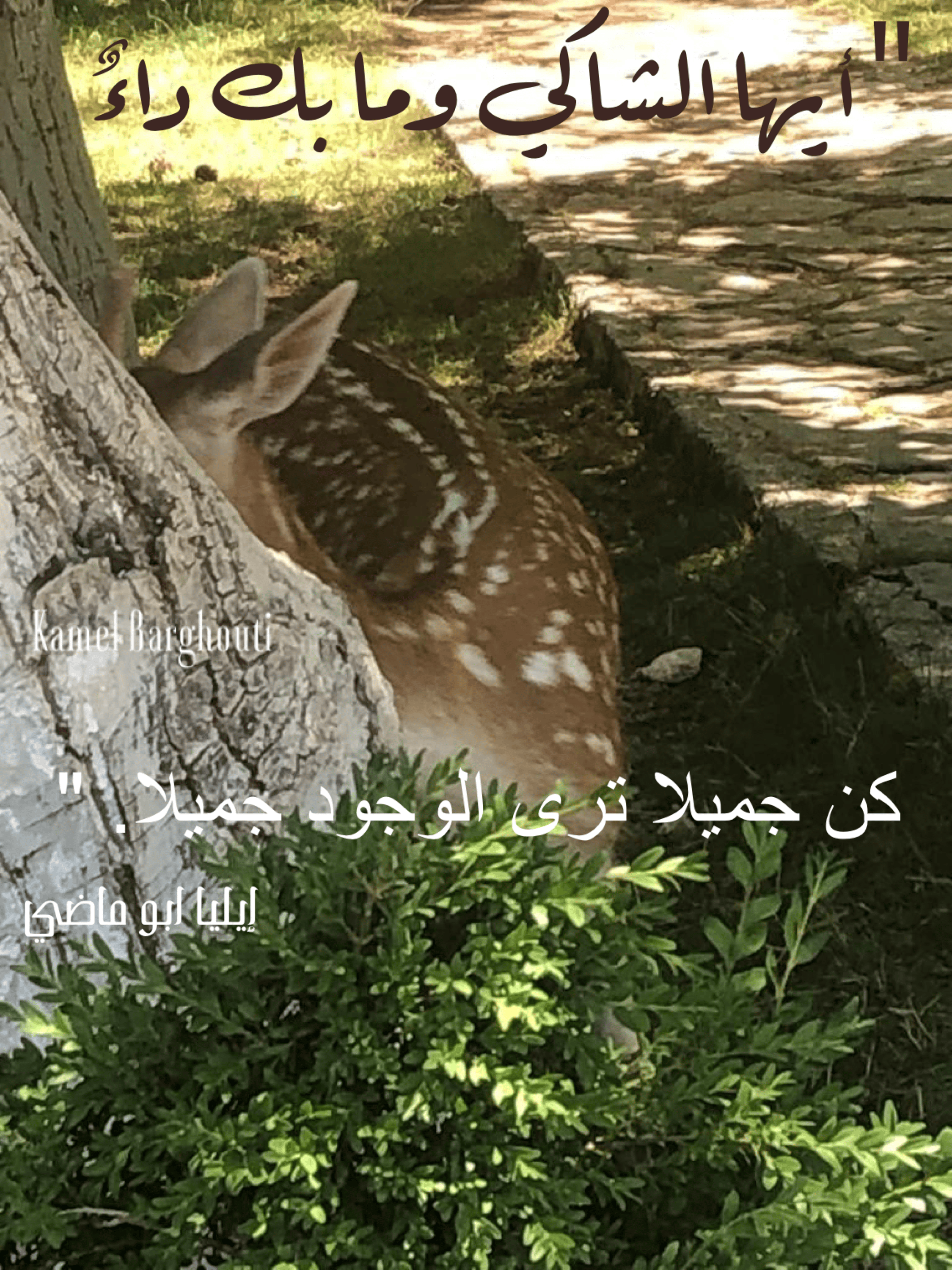 تفاؤل, أمل, وسعادة – اقتباس 181