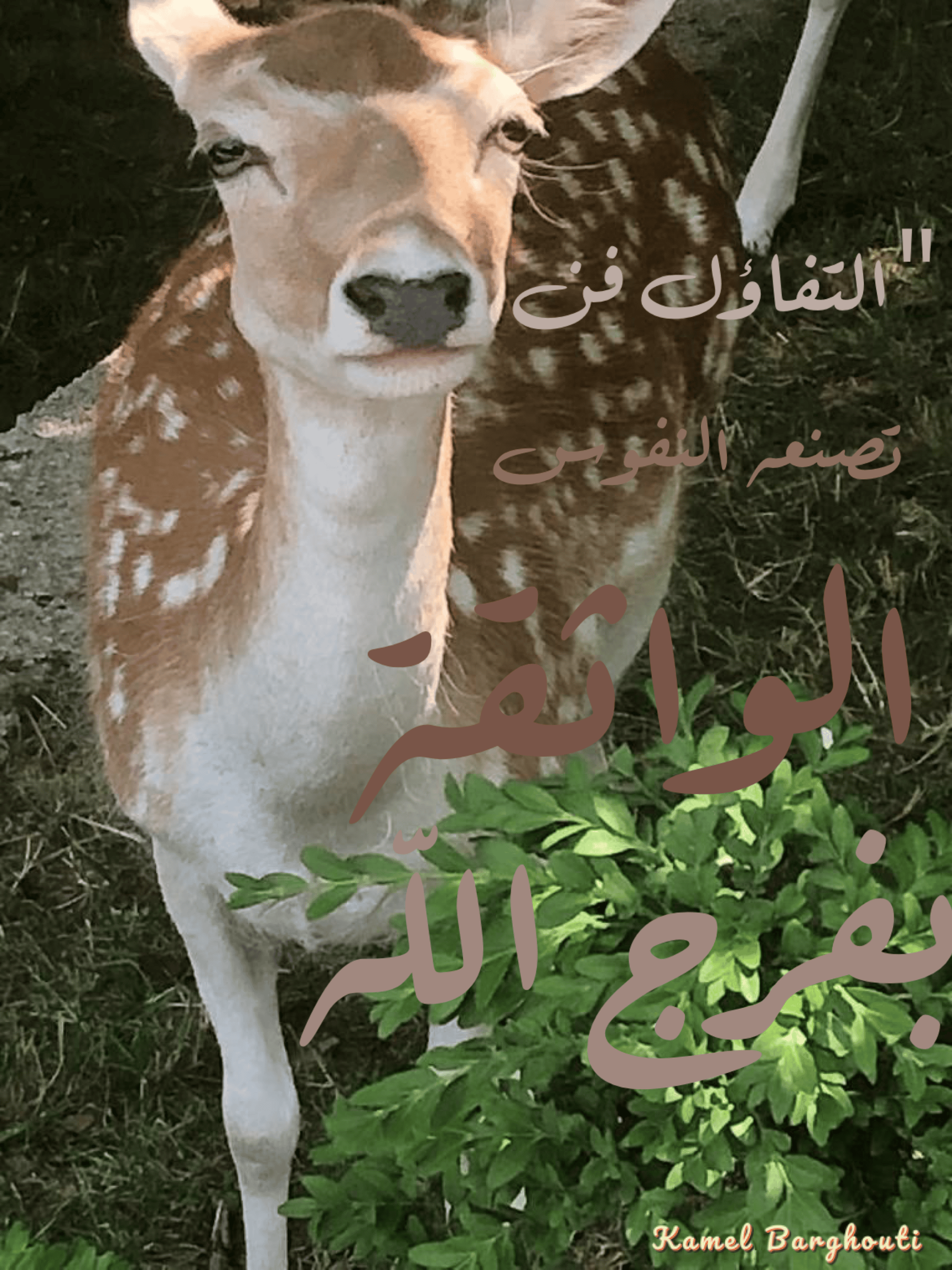 تفاؤل, أمل, وسعادة – اقتباس 182