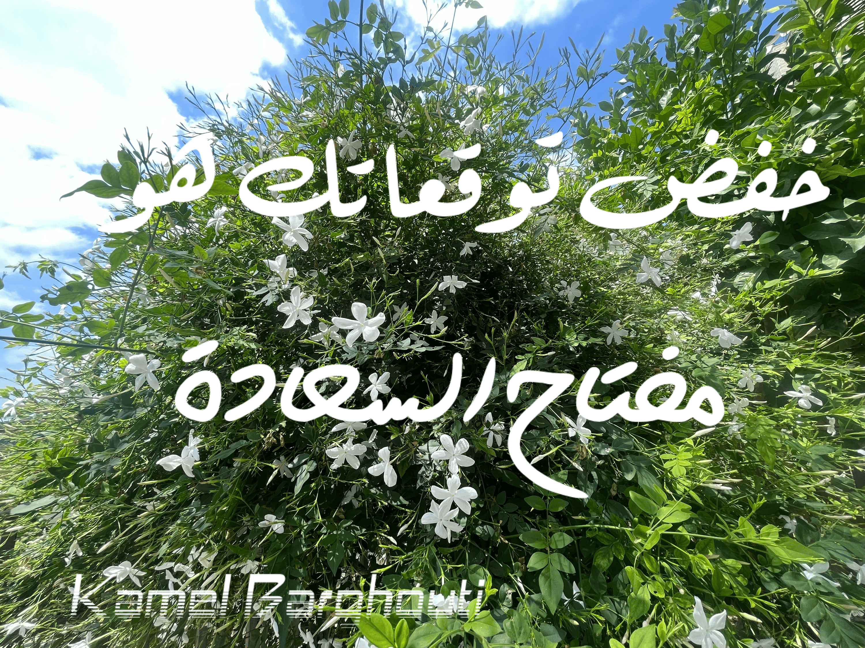 تفاؤل, أمل, وسعادة – اقتباس 158