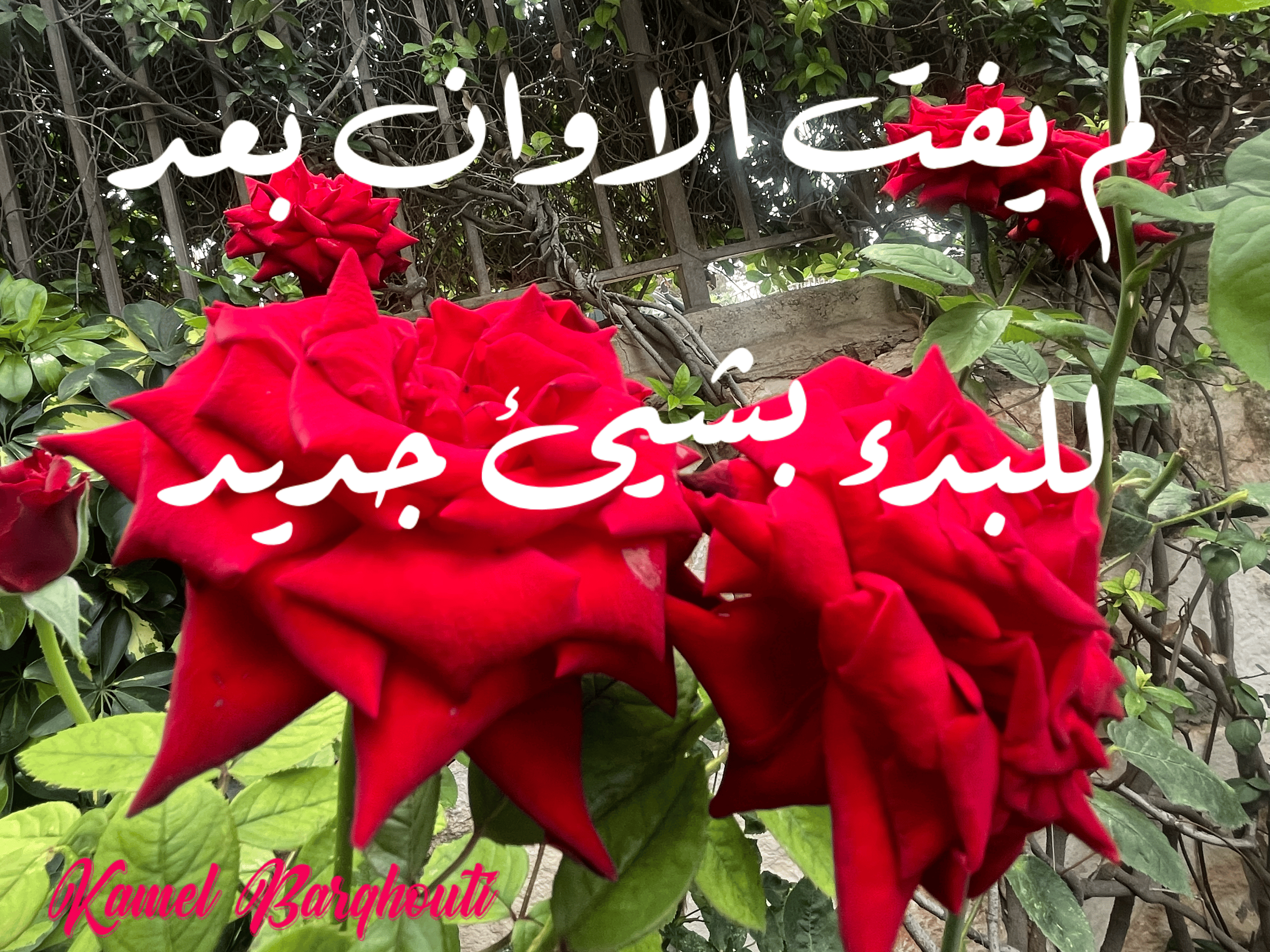 تفاؤل, أمل, وسعادة – اقتباس 157