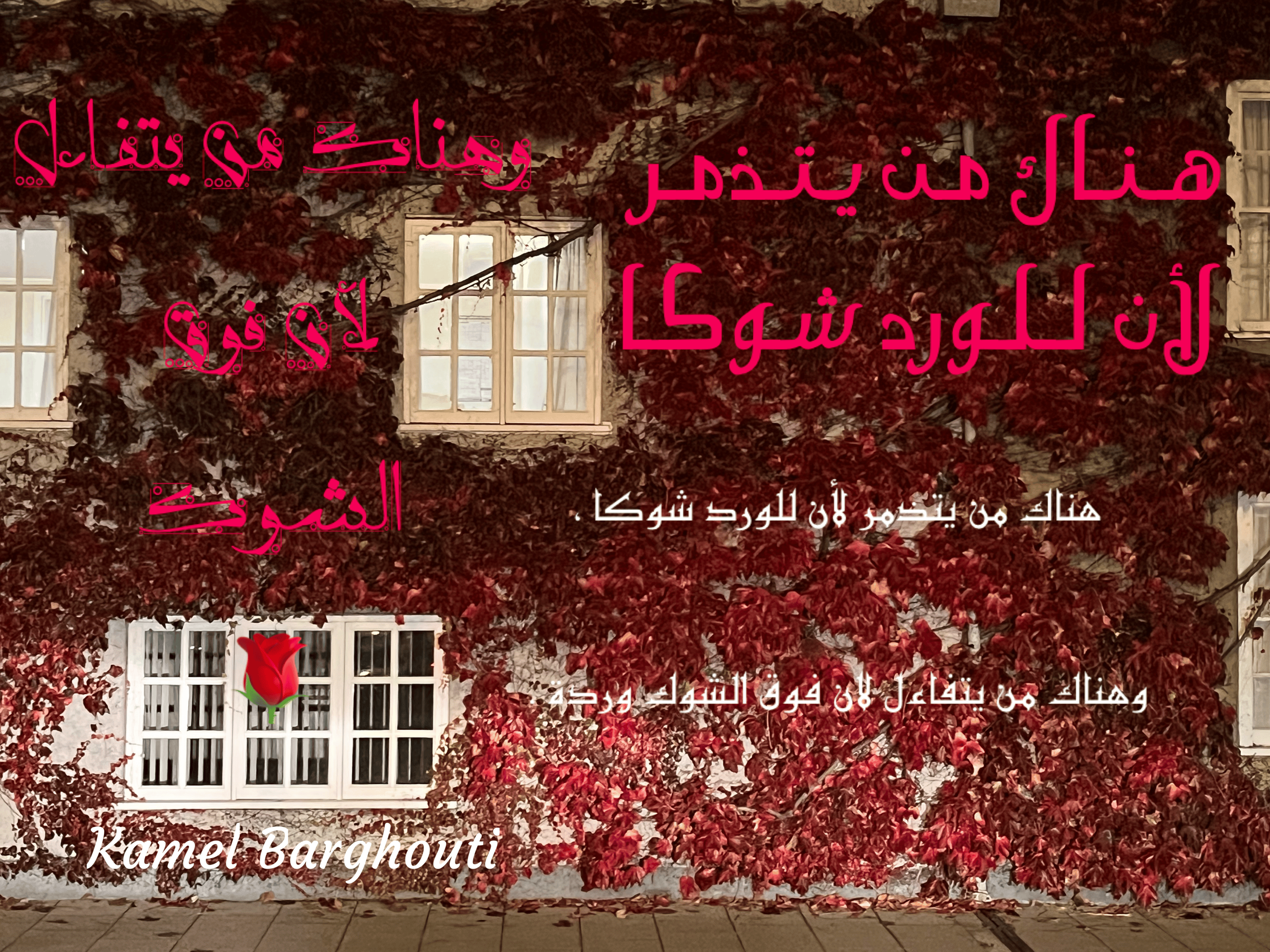 تفاؤل, أمل, وسعادة – اقتباس 75