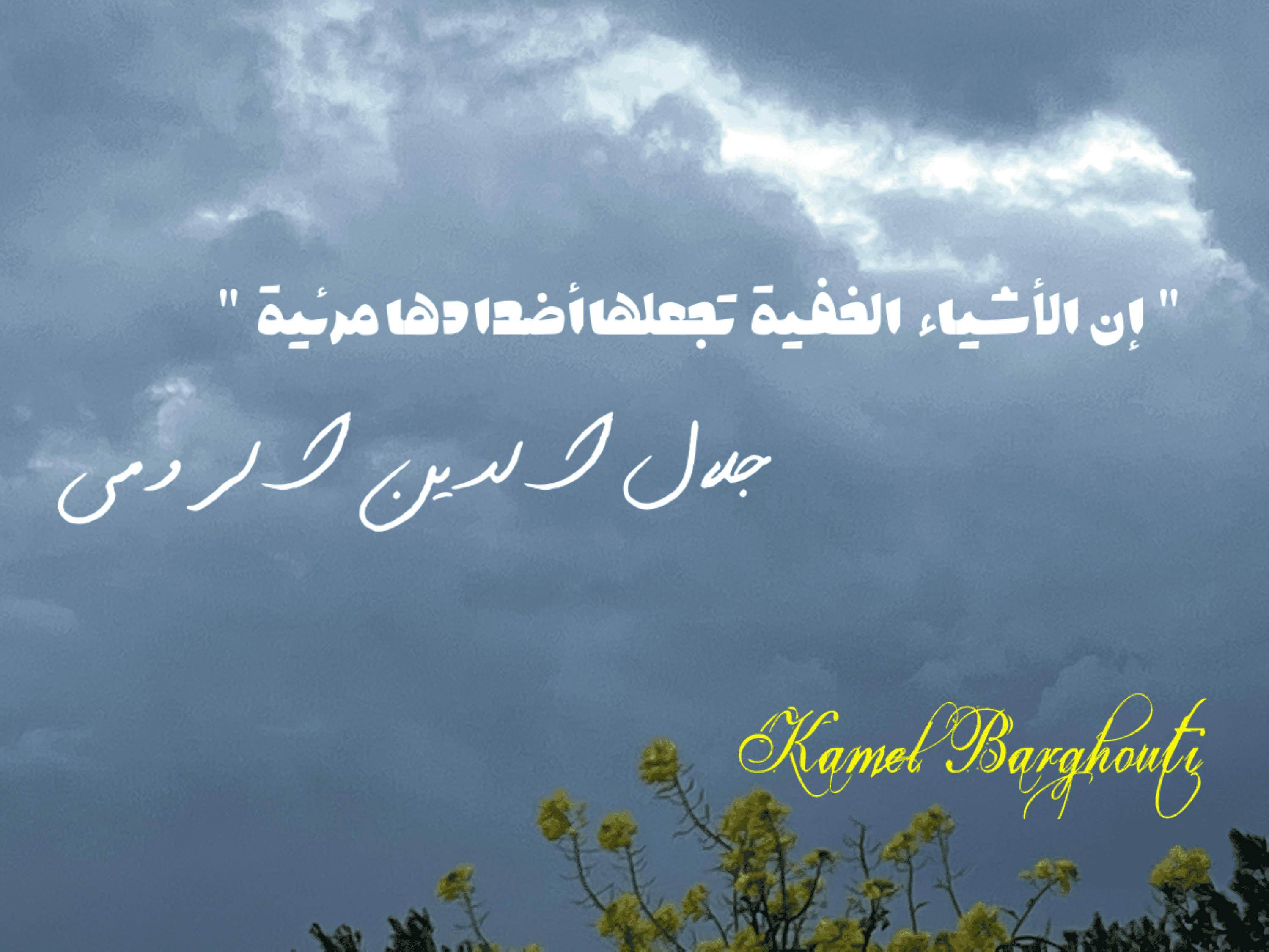 تفاؤل, أمل, وسعادة – اقتباس 72