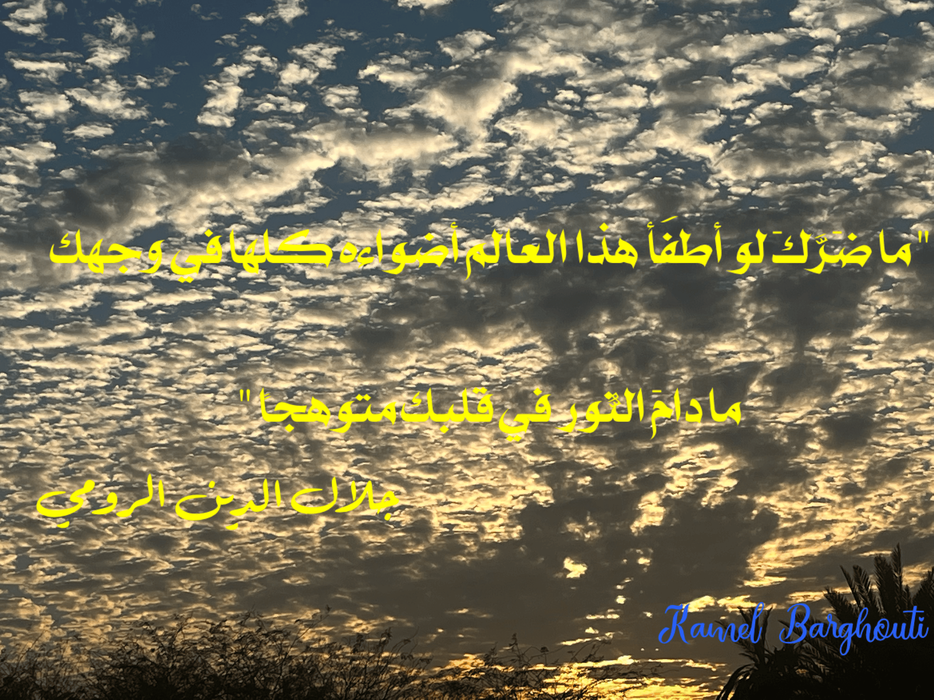 تفاؤل, أمل, وسعادة – اقتباس 69