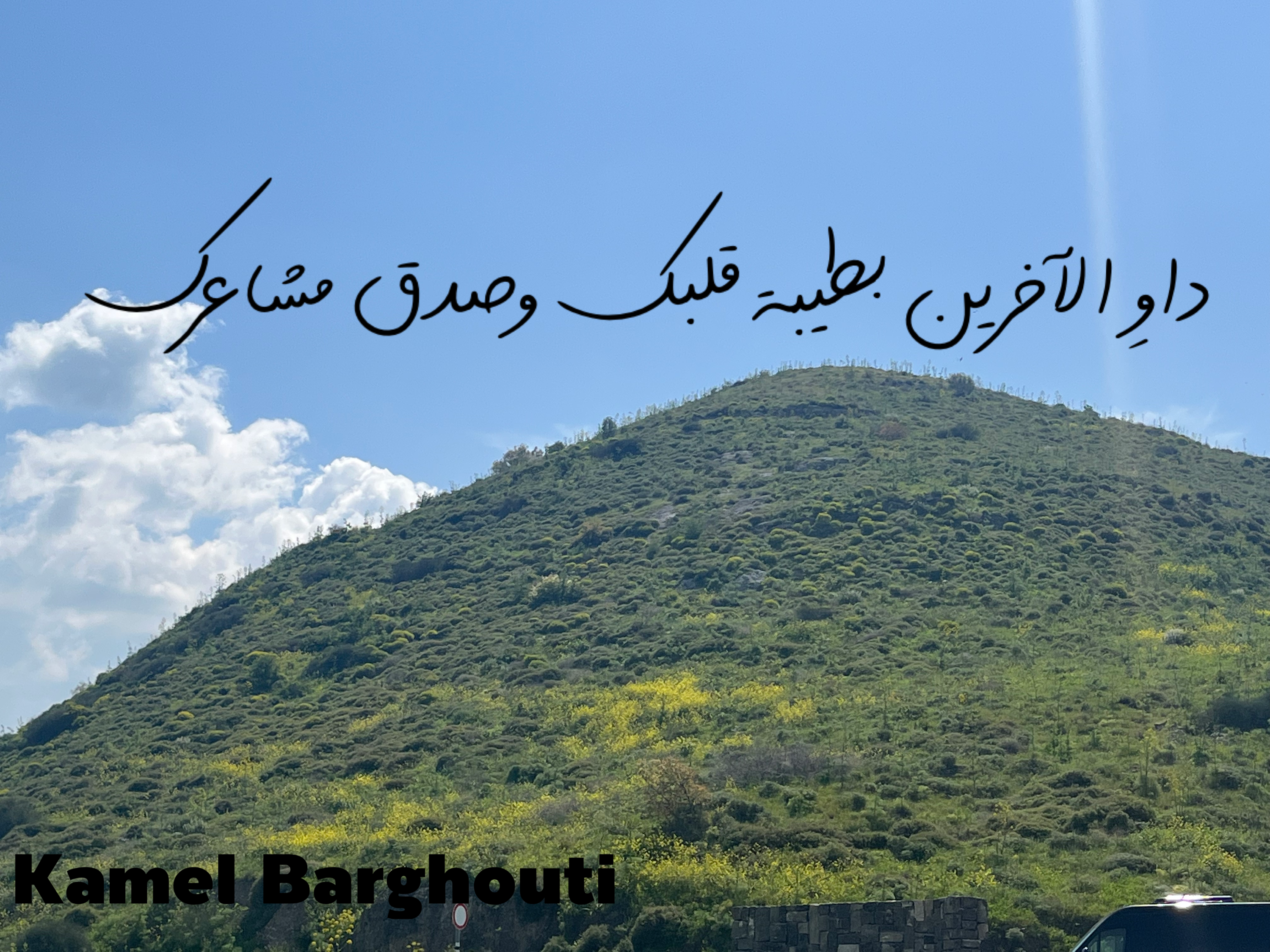 فخر وكرامة – اقتباس 182