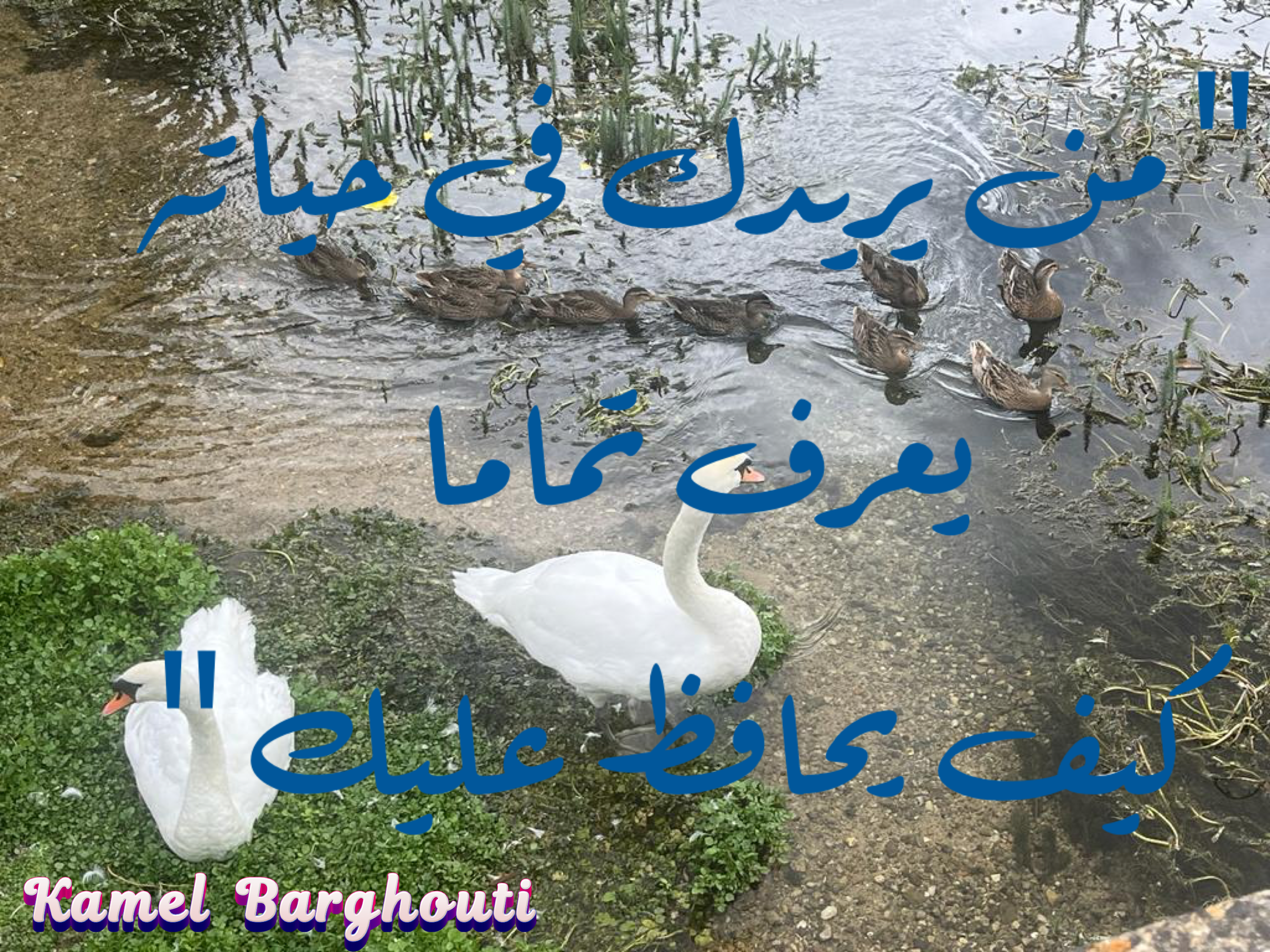 فخر وكرامة – اقتباس 169