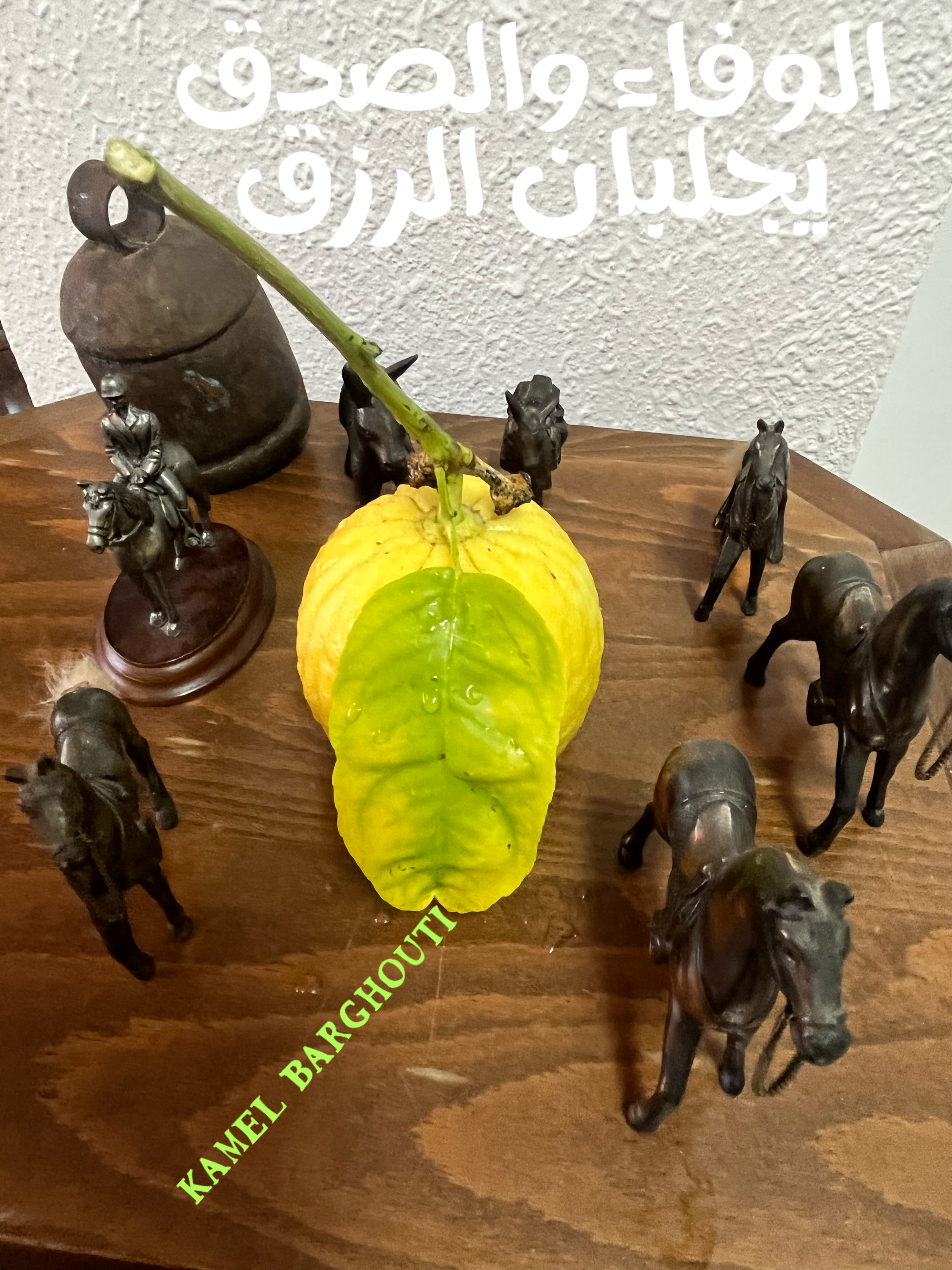 فخر وكرامة – اقتباس 167