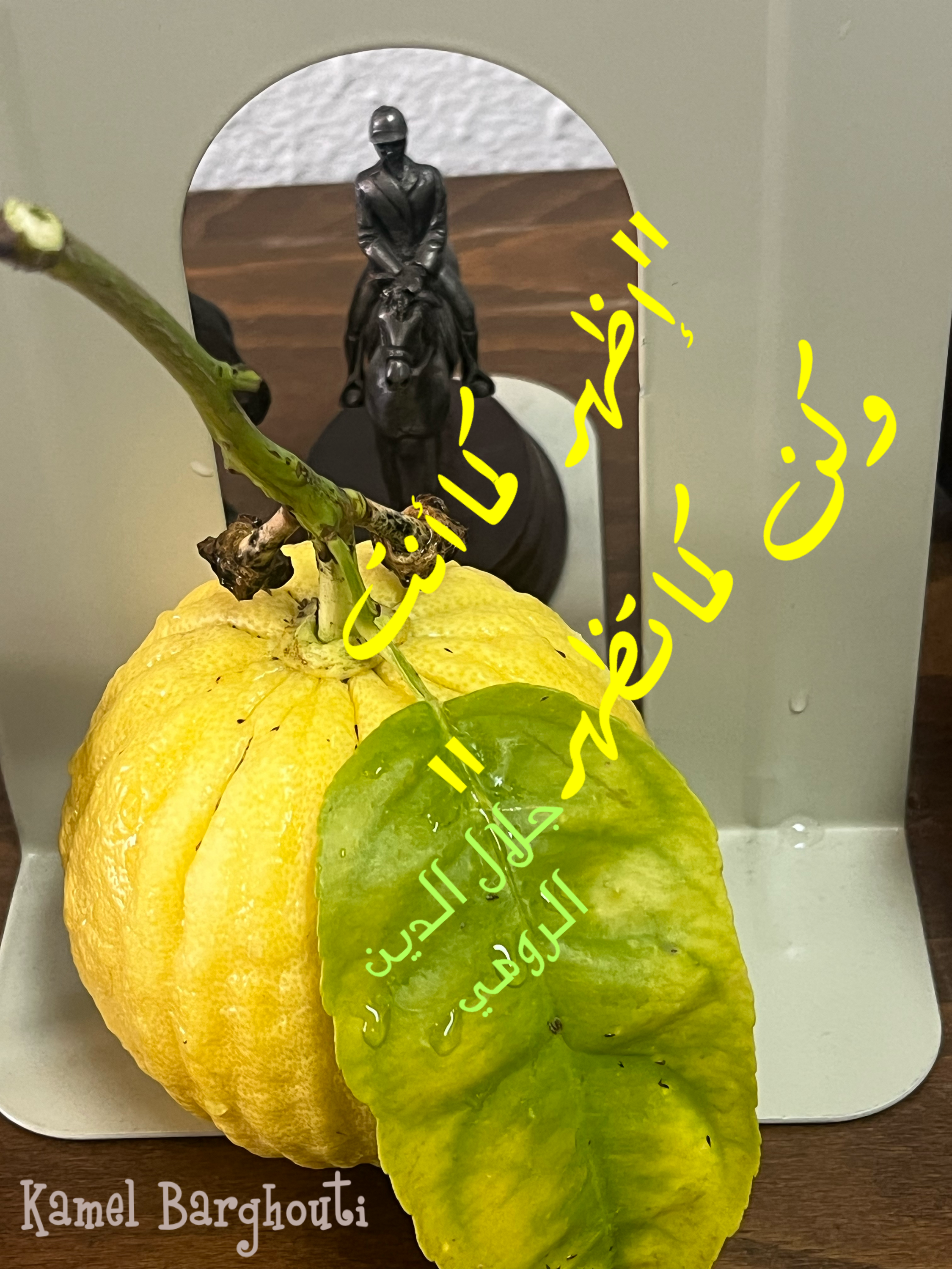 فخر وكرامة – اقتباس 168