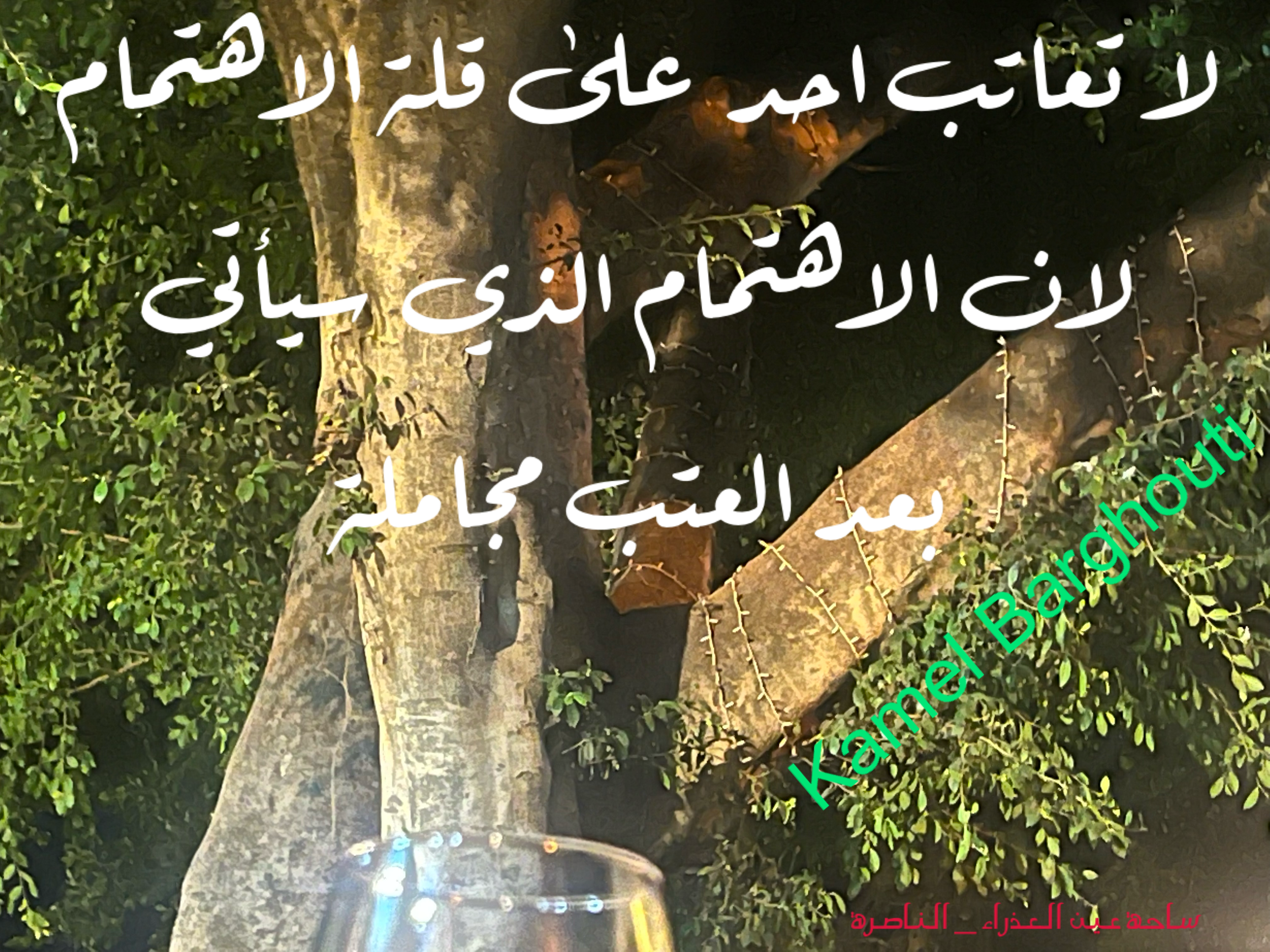 فخر وكرامة – اقتباس 156
