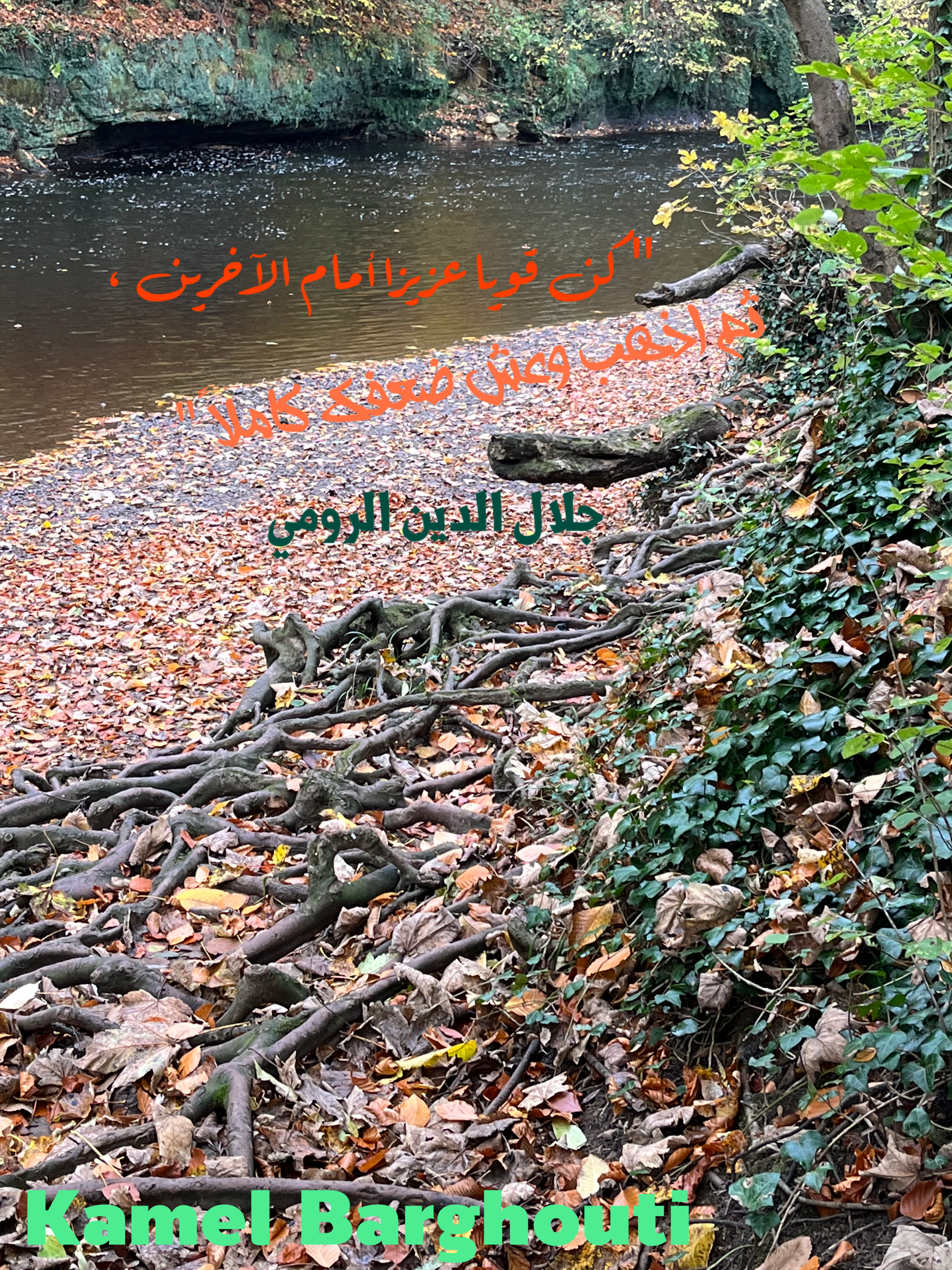 فخر وكرامة – اقتباس 146